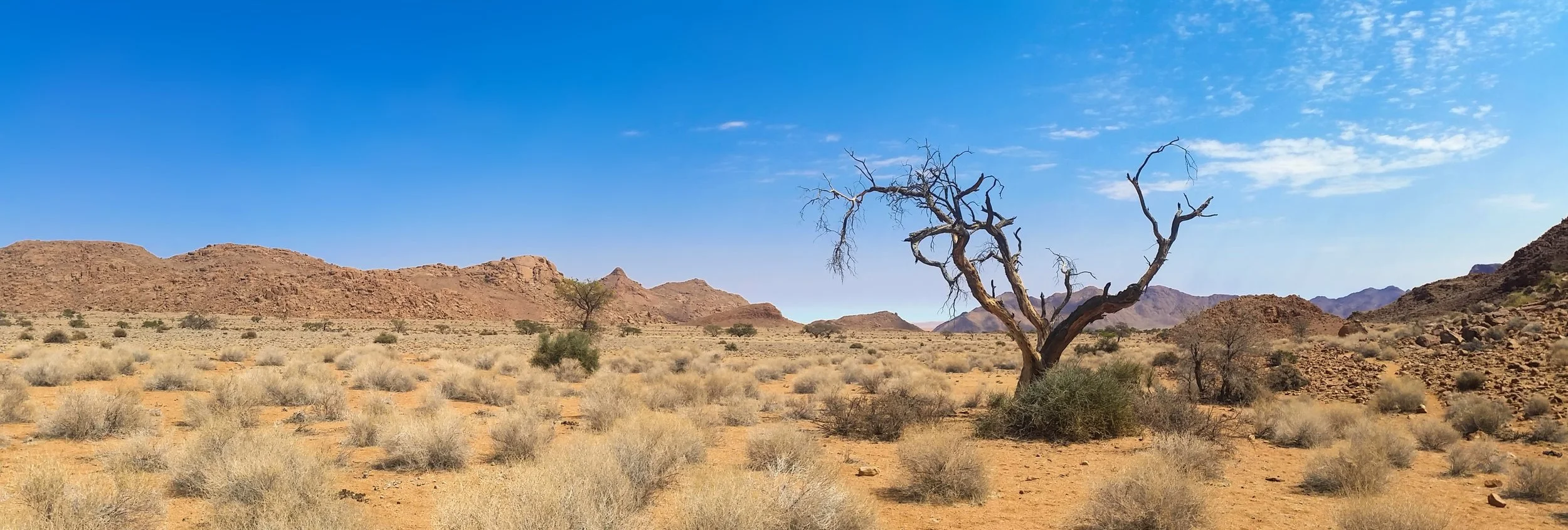 africa-arid-barren-259526.jpg