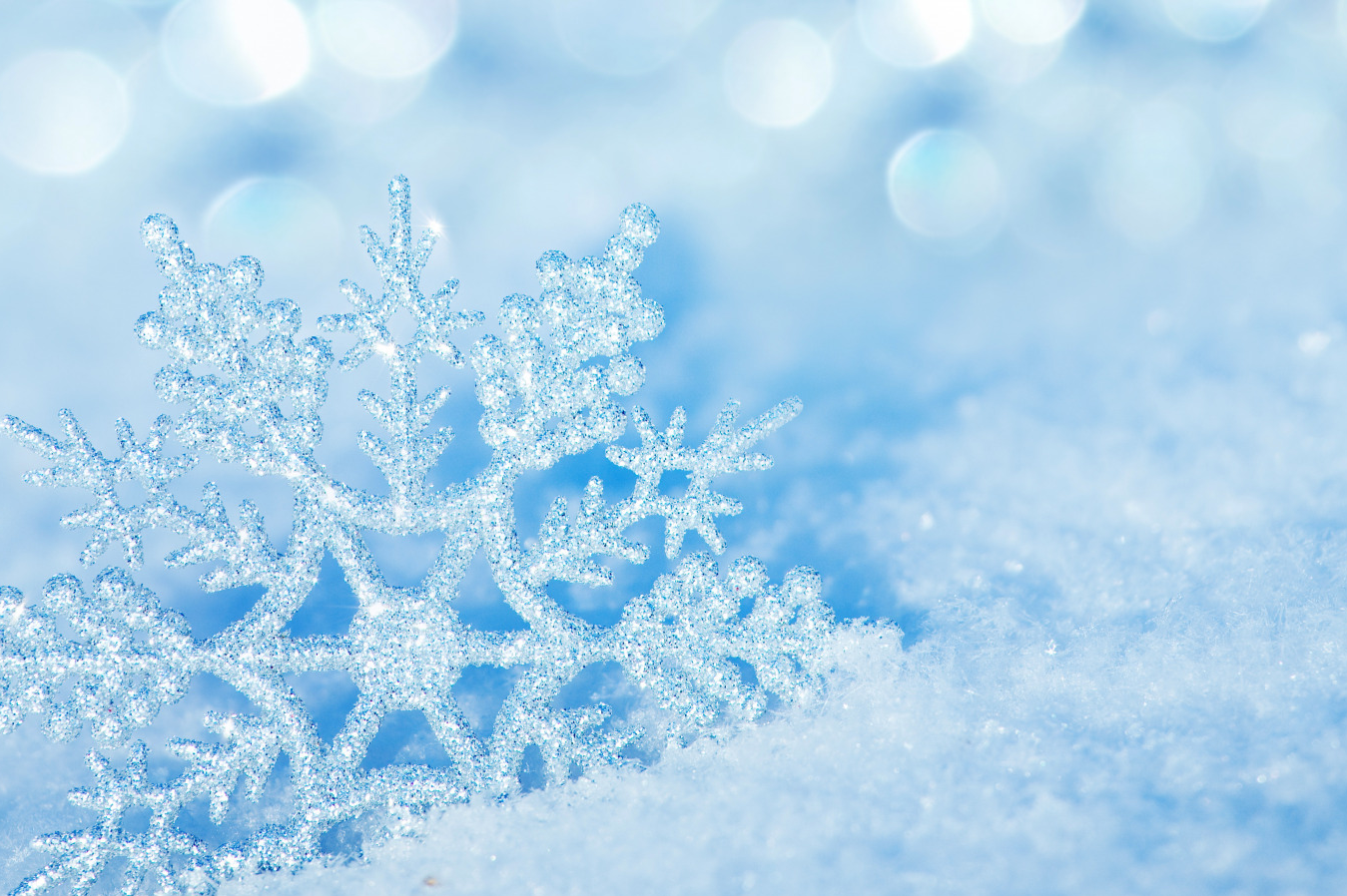 Winter pic.png