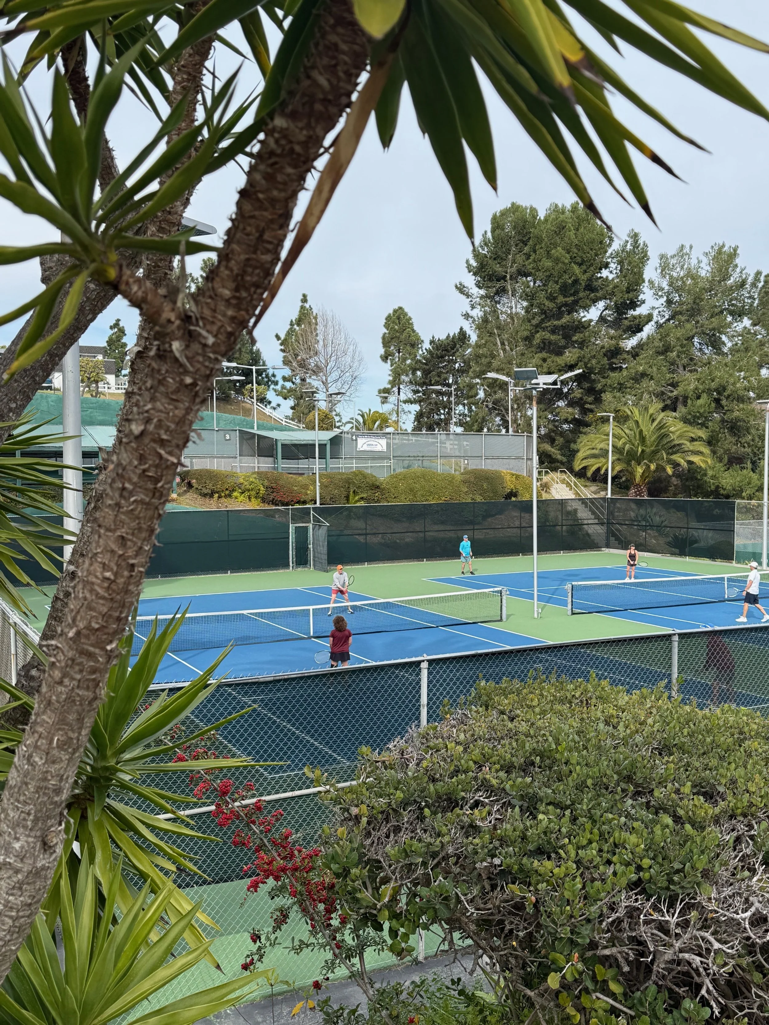 SDTC NEW COURT COLORS 2025.jpg