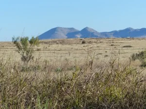 1031view2-300x225.jpg