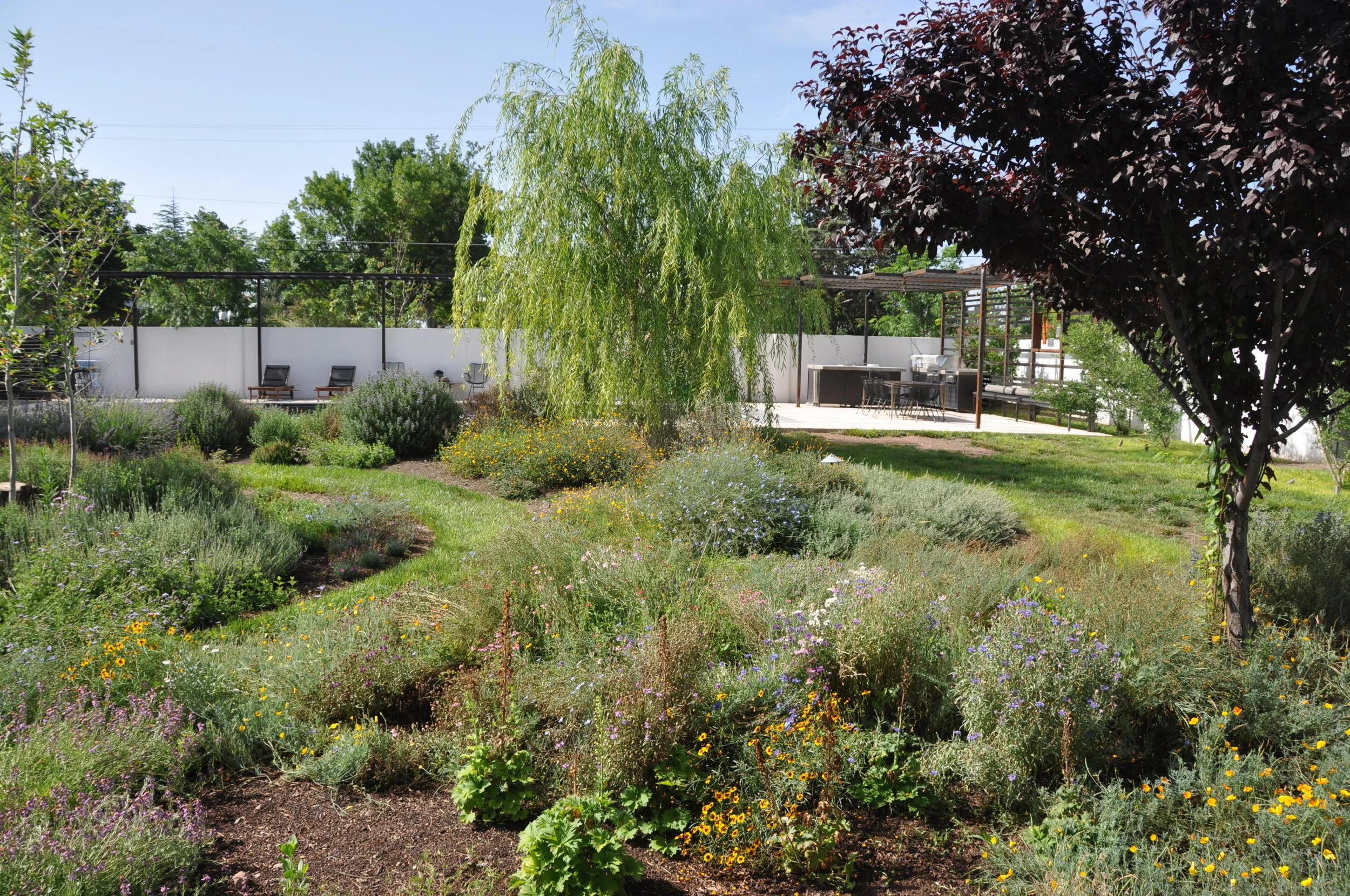 garden1.JPG