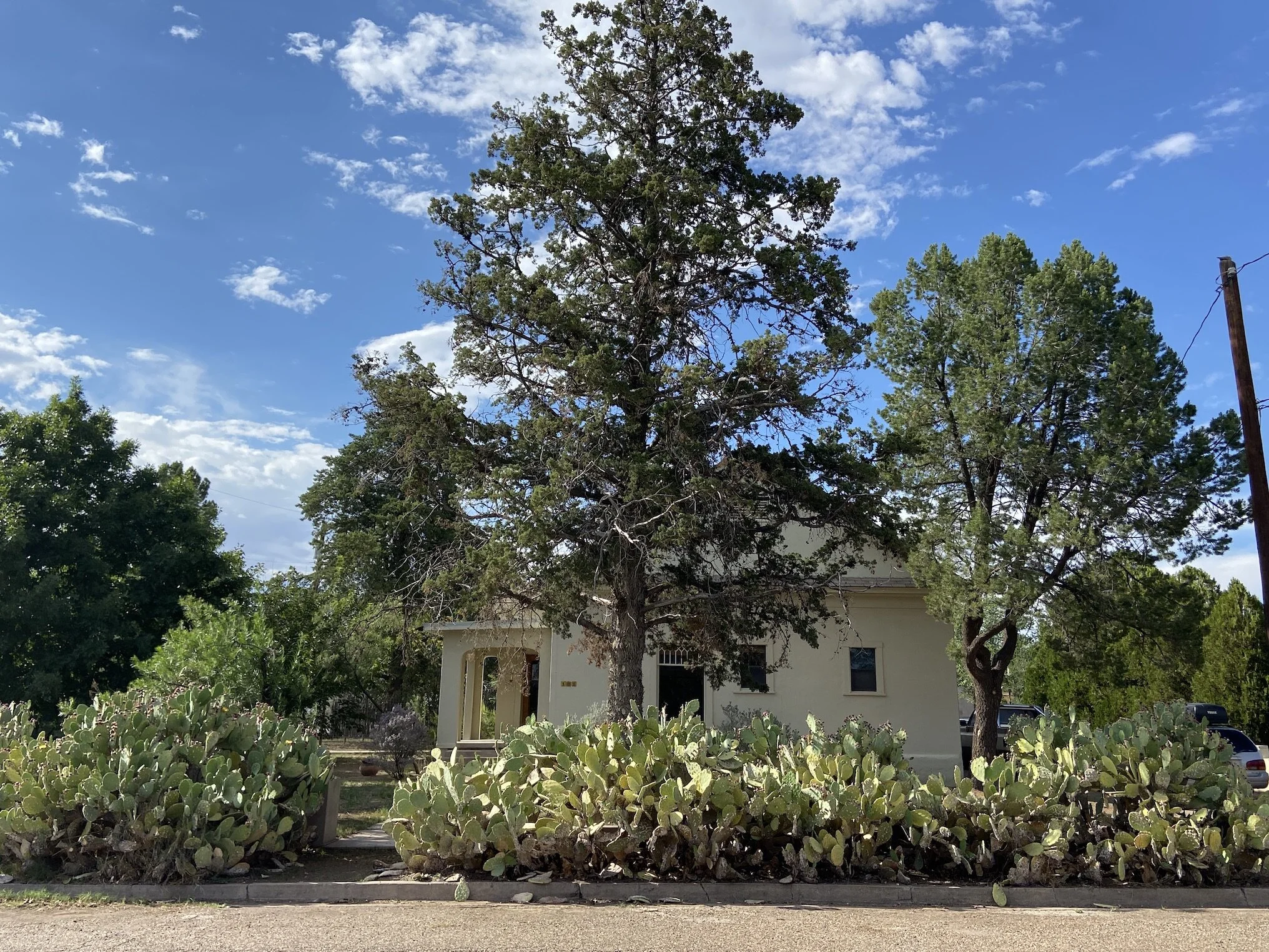 Detail 101 E Columbia Street — Marfa Vista Real Estate