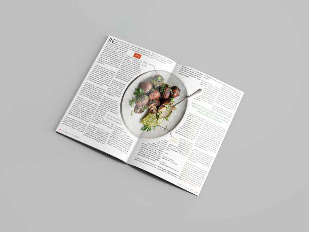 Magazine Mockup - Free Version2.jpg