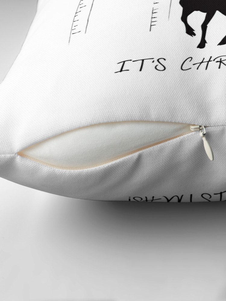 throw Pillow3.jpg