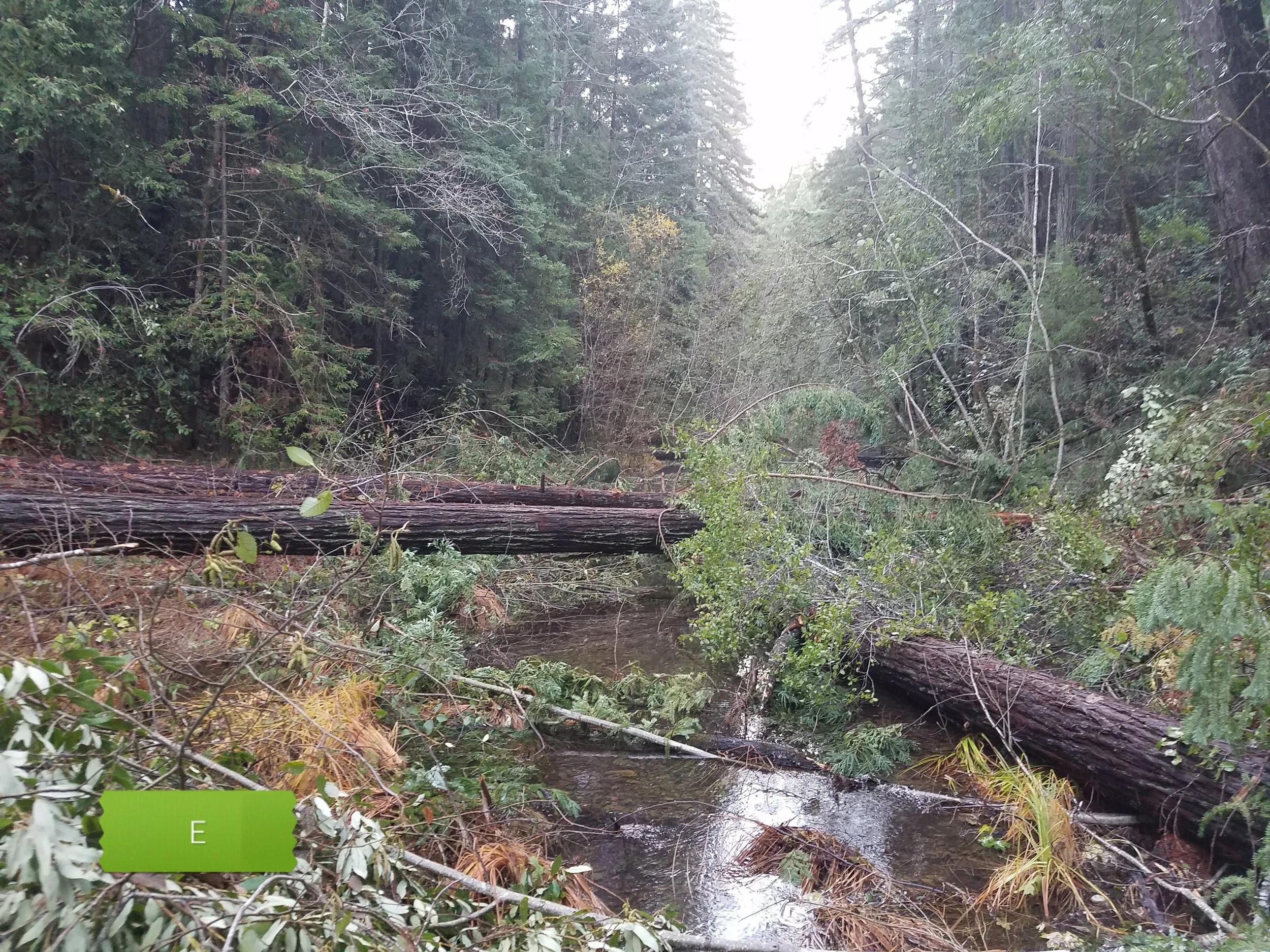 North Fork Navarro - Site E After