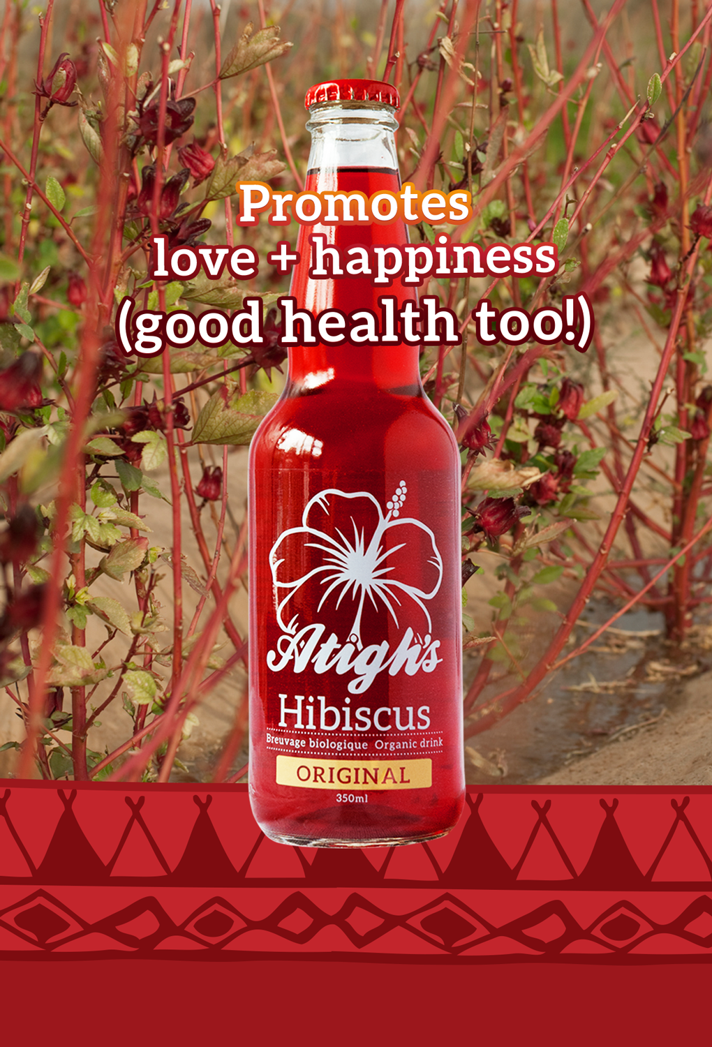 hibiscus-flyer.png