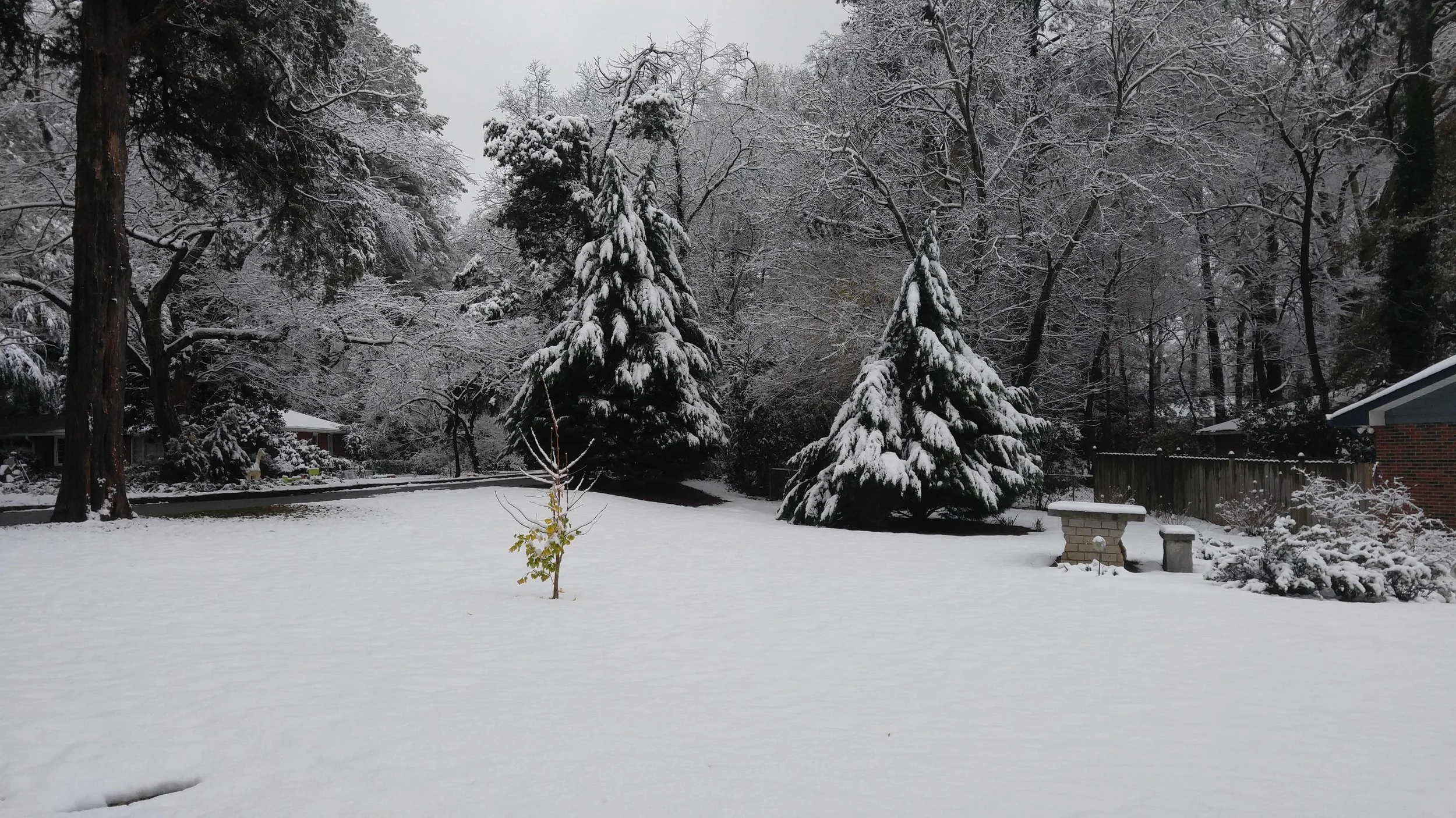 Beautiful Atlanta Snow, December 8, 2017