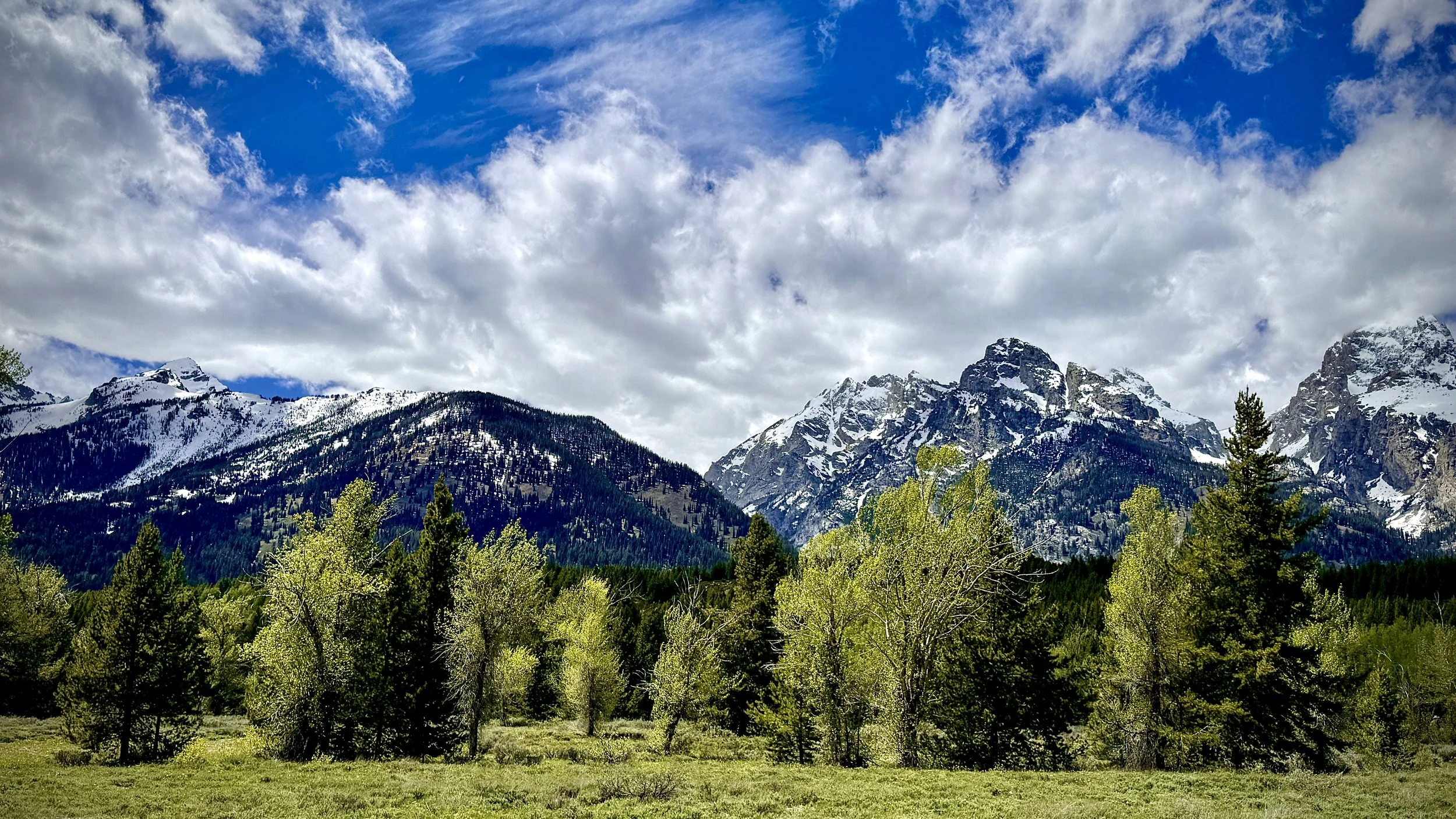 Clouds, Tetons, and Trees, Grand Teton NP, Wyoming 2024