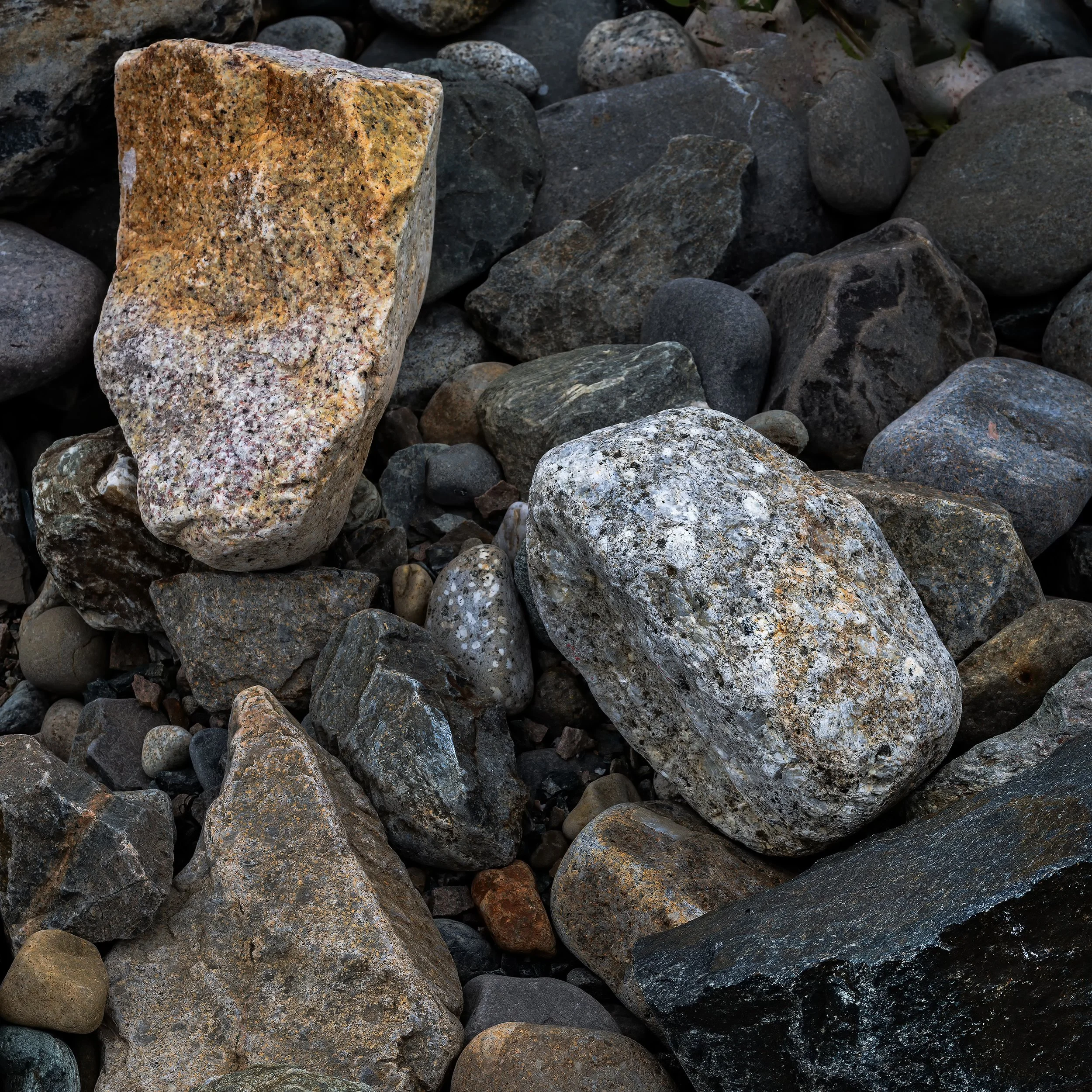 Rocks 14, Day 4 and 5, Maine 2025 copy.jpg