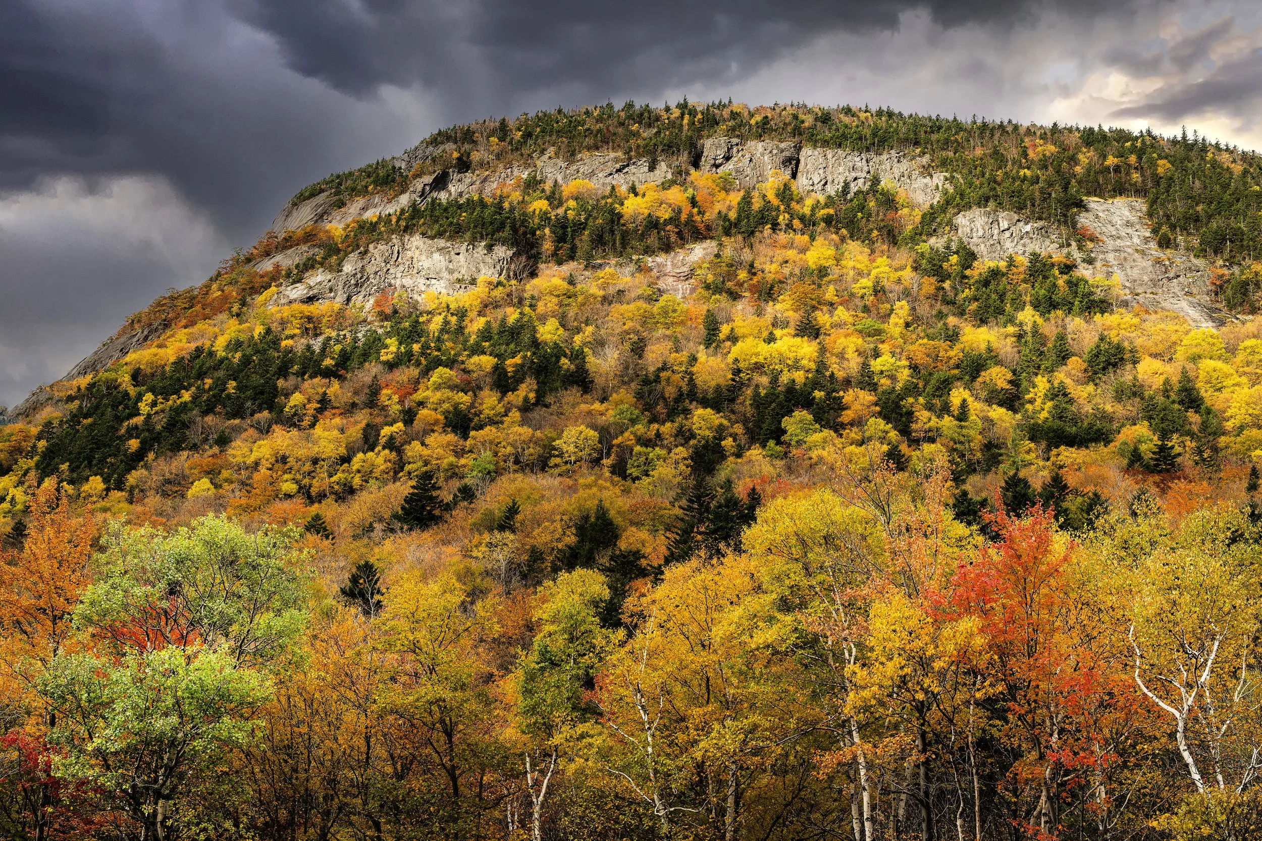 Stormy Skies, Colorful Hillside, Franconia Notch State Park, New Hampshire 2026