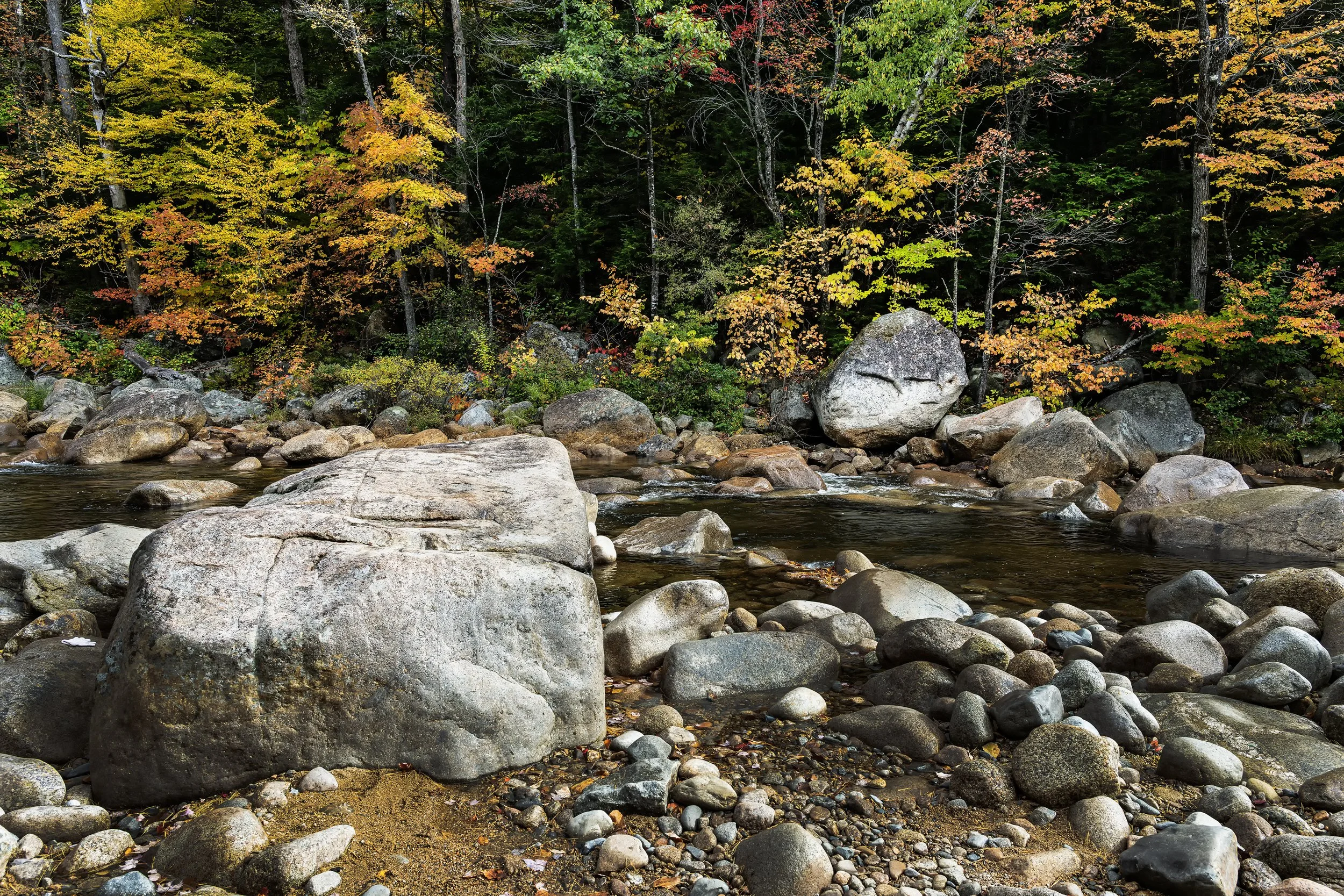 Rocky Gorge Boulders, New Hampshire 2026 Day One copy.jpg
