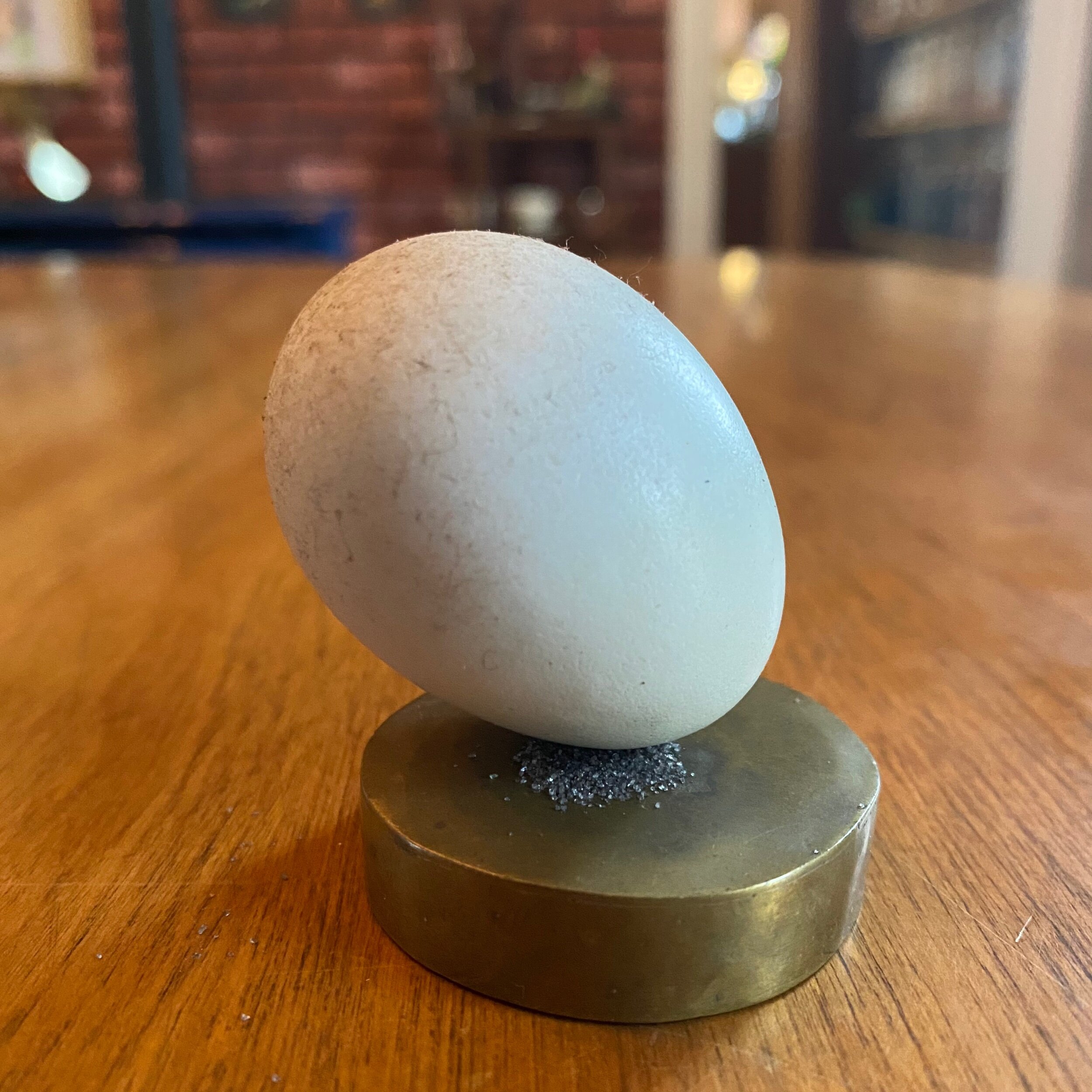 957B5B48-432B-411A-8D4D-01B7C51C449A