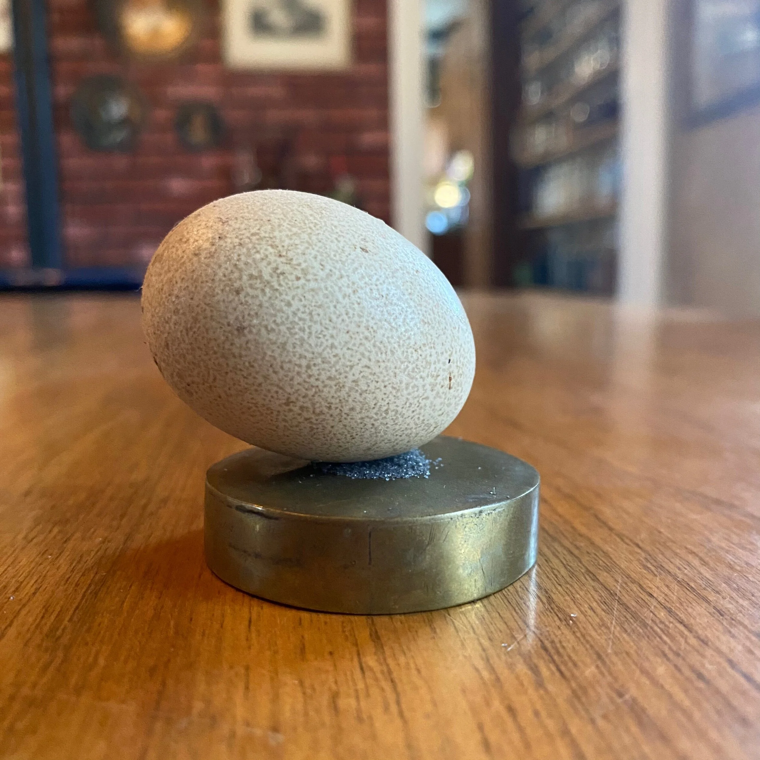 CD189253-1F73-440B-973C-82C61B2D5263