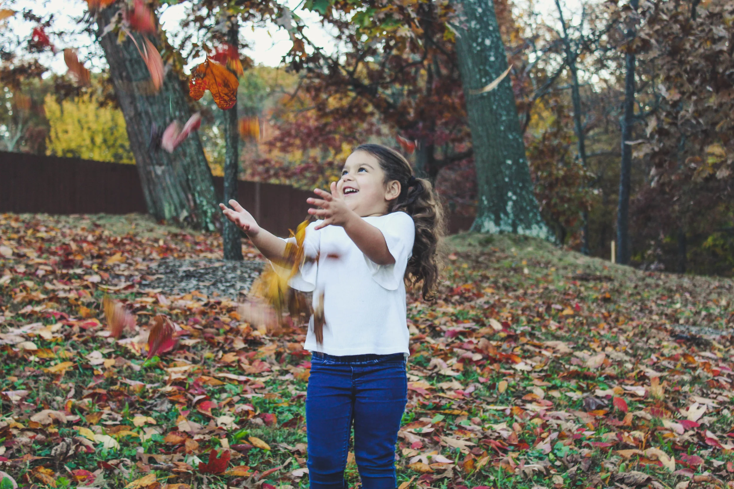 fall-photo-session-7.jpg
