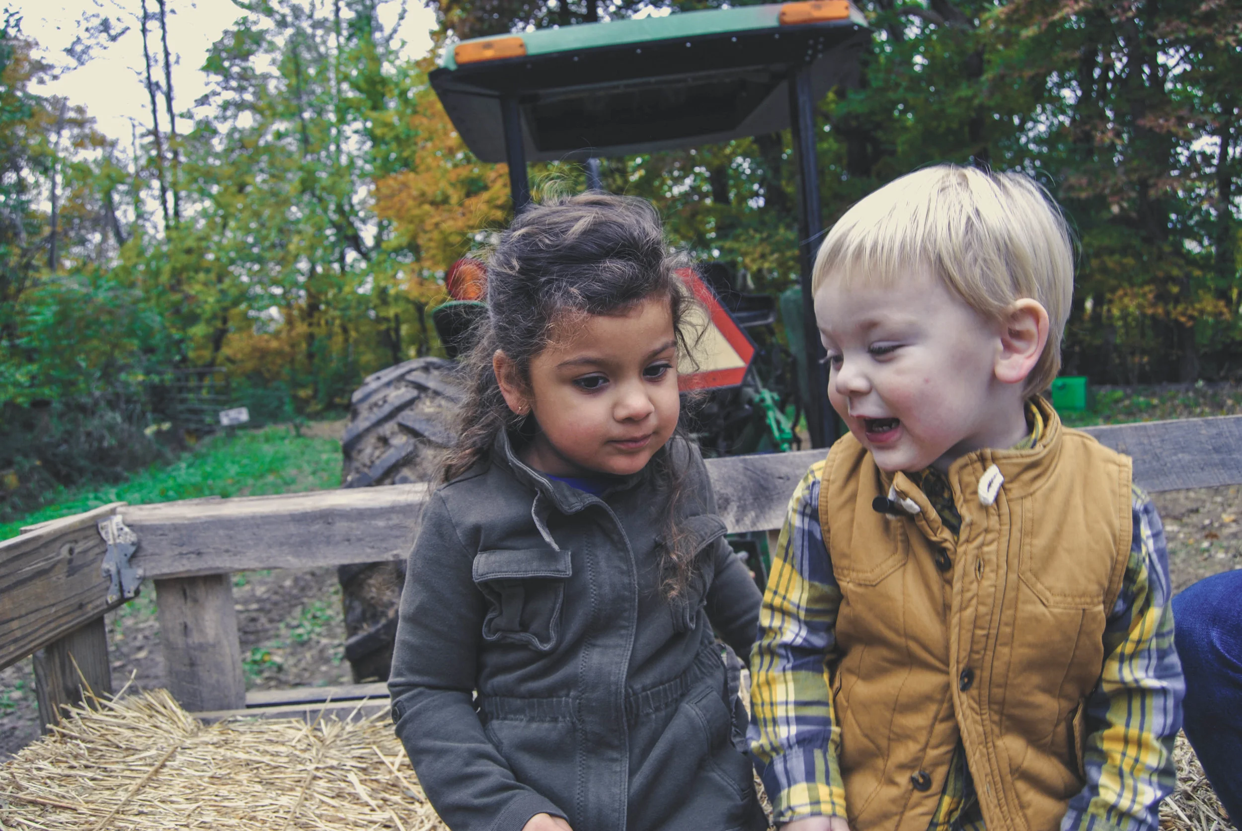 pumpkin-patch-18-24.jpg