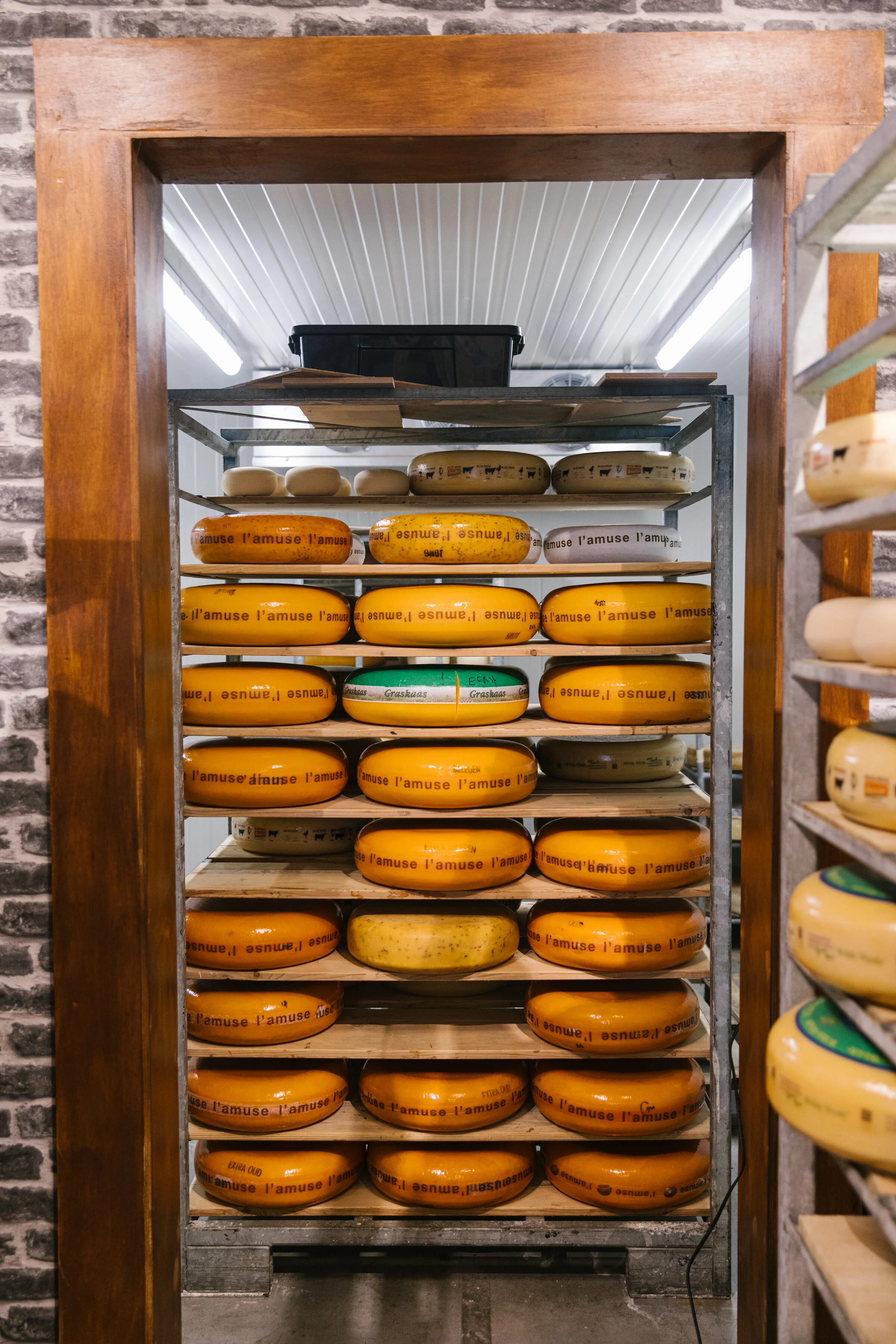 Behind the Scenes Cave Tour (Virtual): Boulder, CO