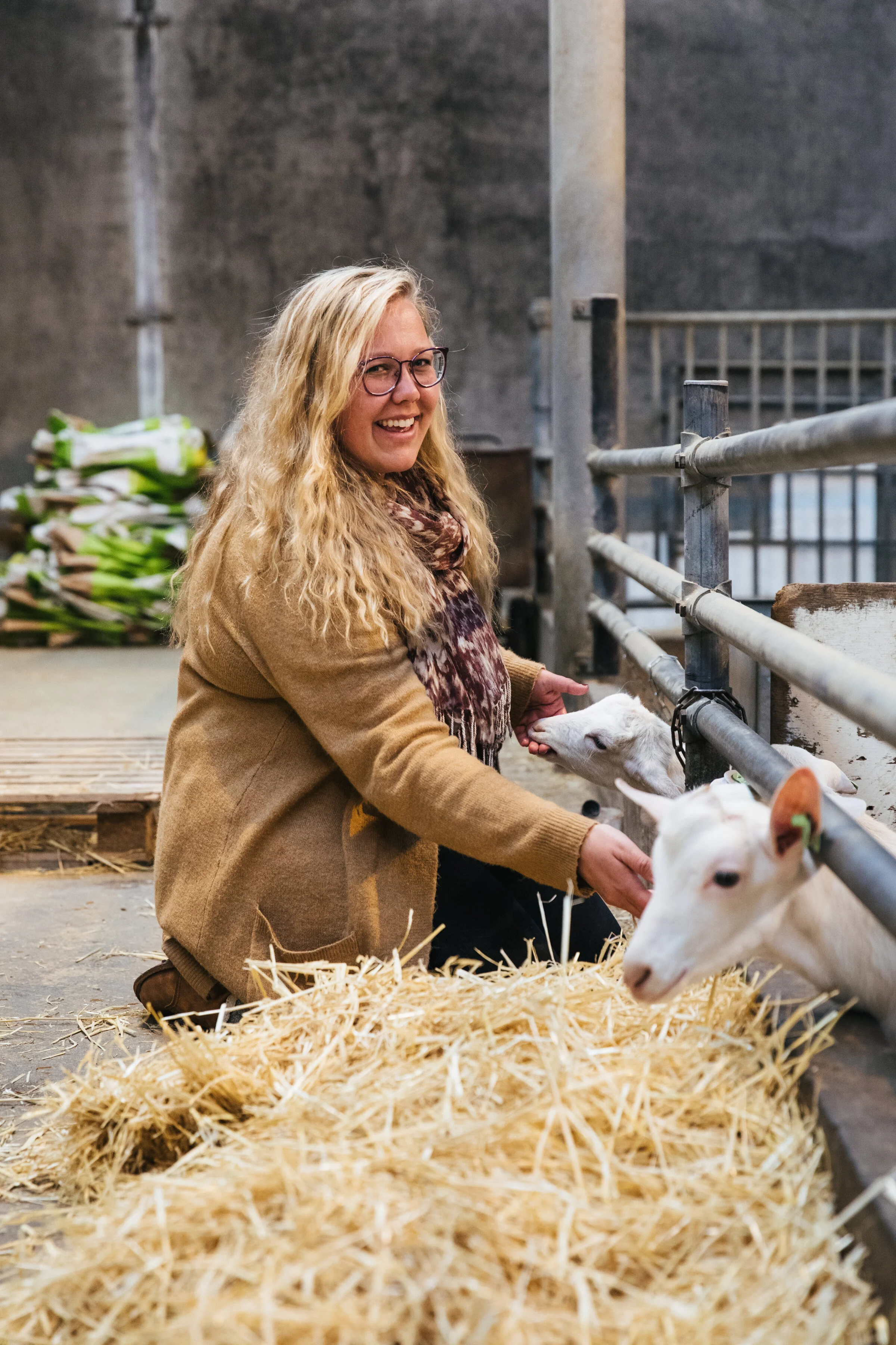 Gouda Deep Dive (Virtual): Washington, DC