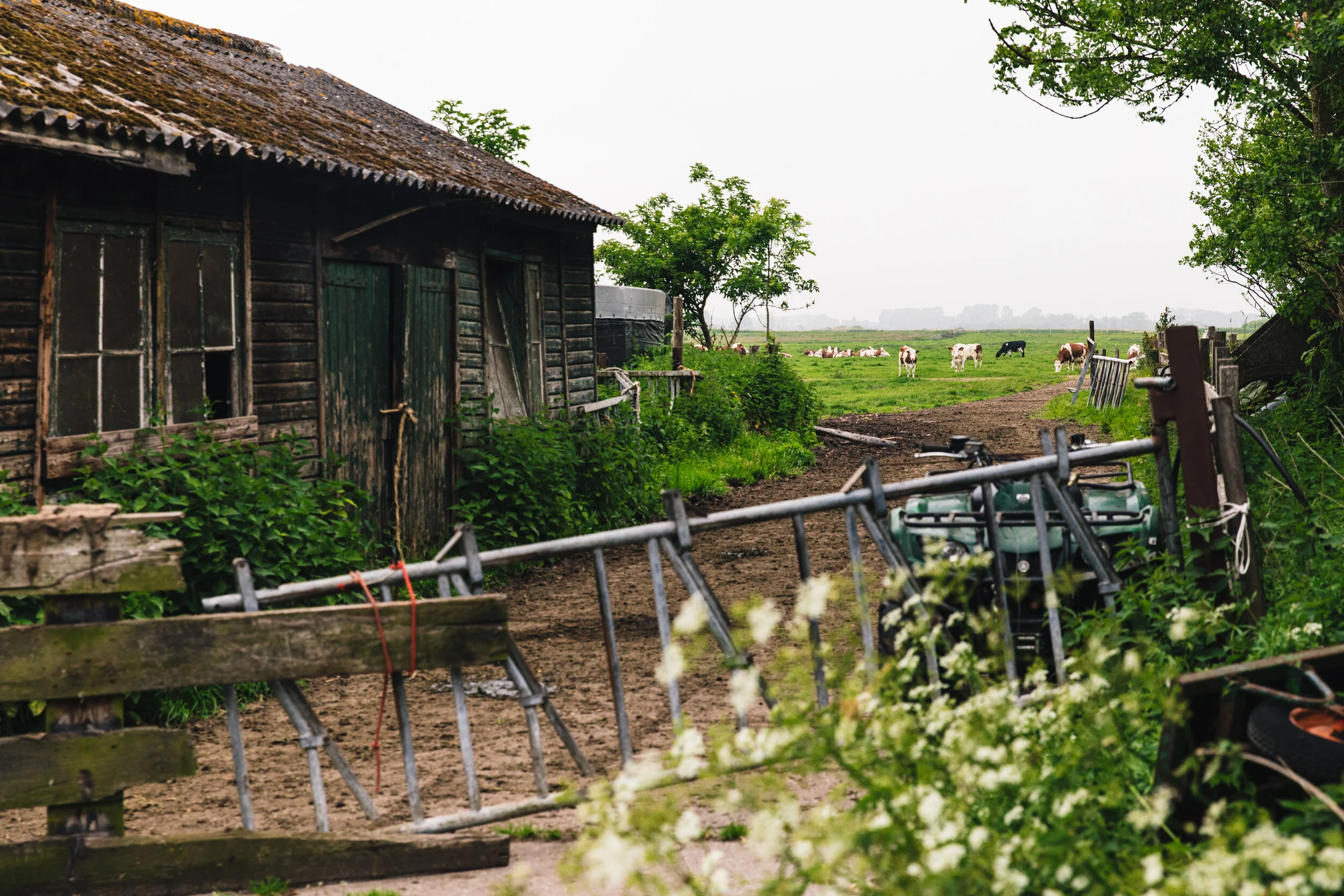 Gouda Deep Dive (Virtual): Washington, DC