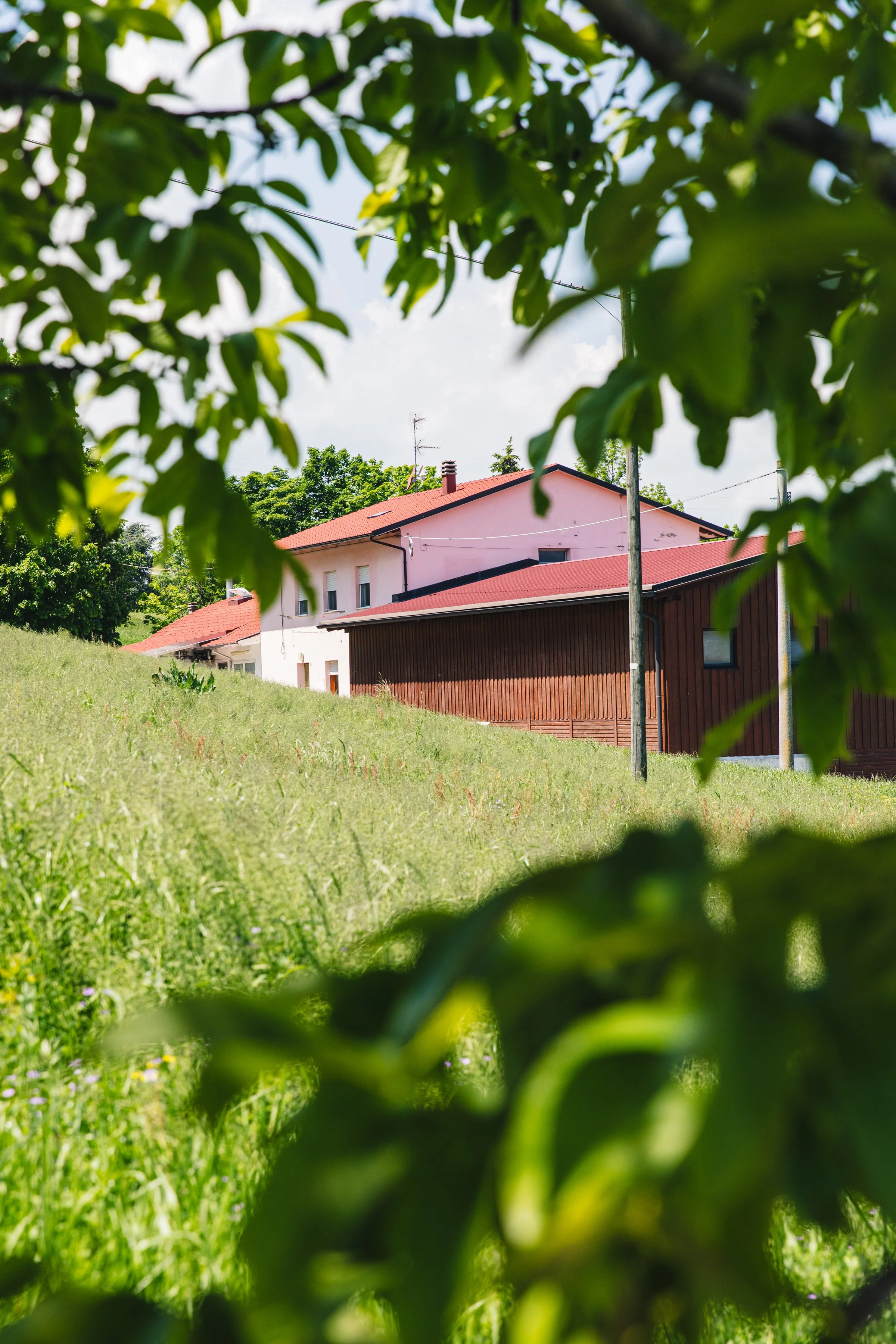 Cheesemonger Invitational Education - New York