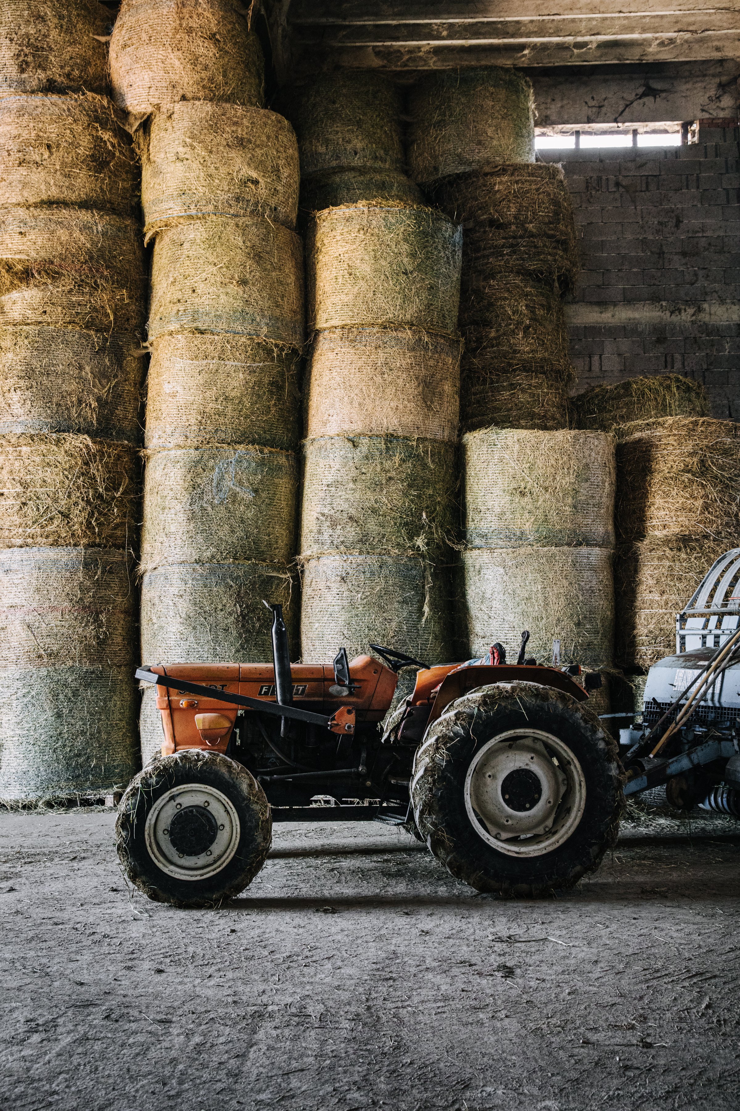 Cheesemonger Invitational Education - New York