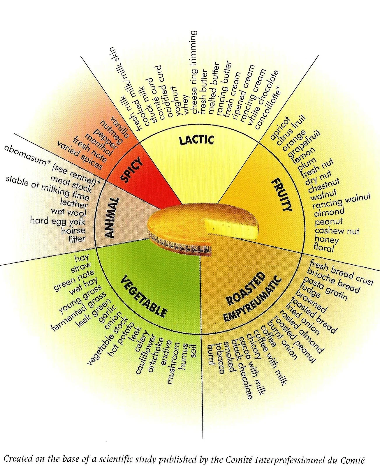 Comte+Flavor+Wheel.jpg