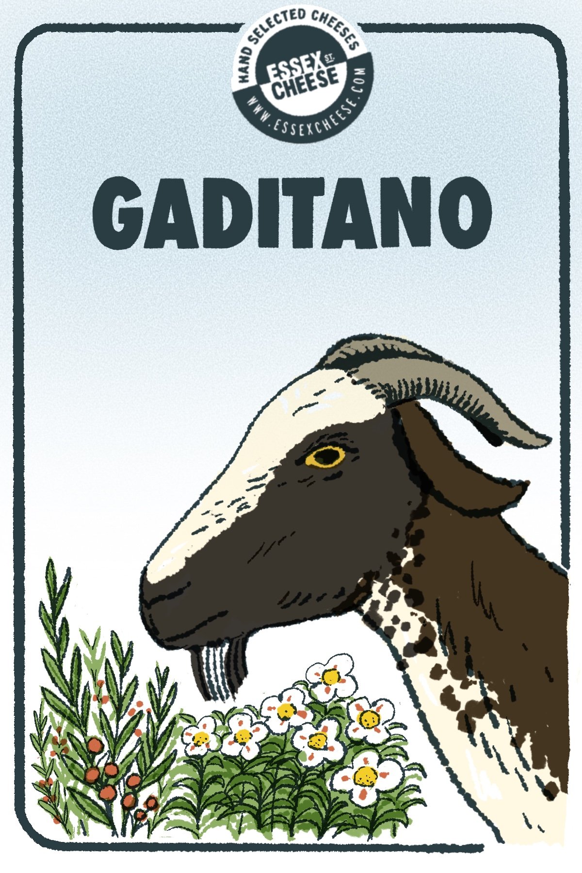 gaditano-final.jpg