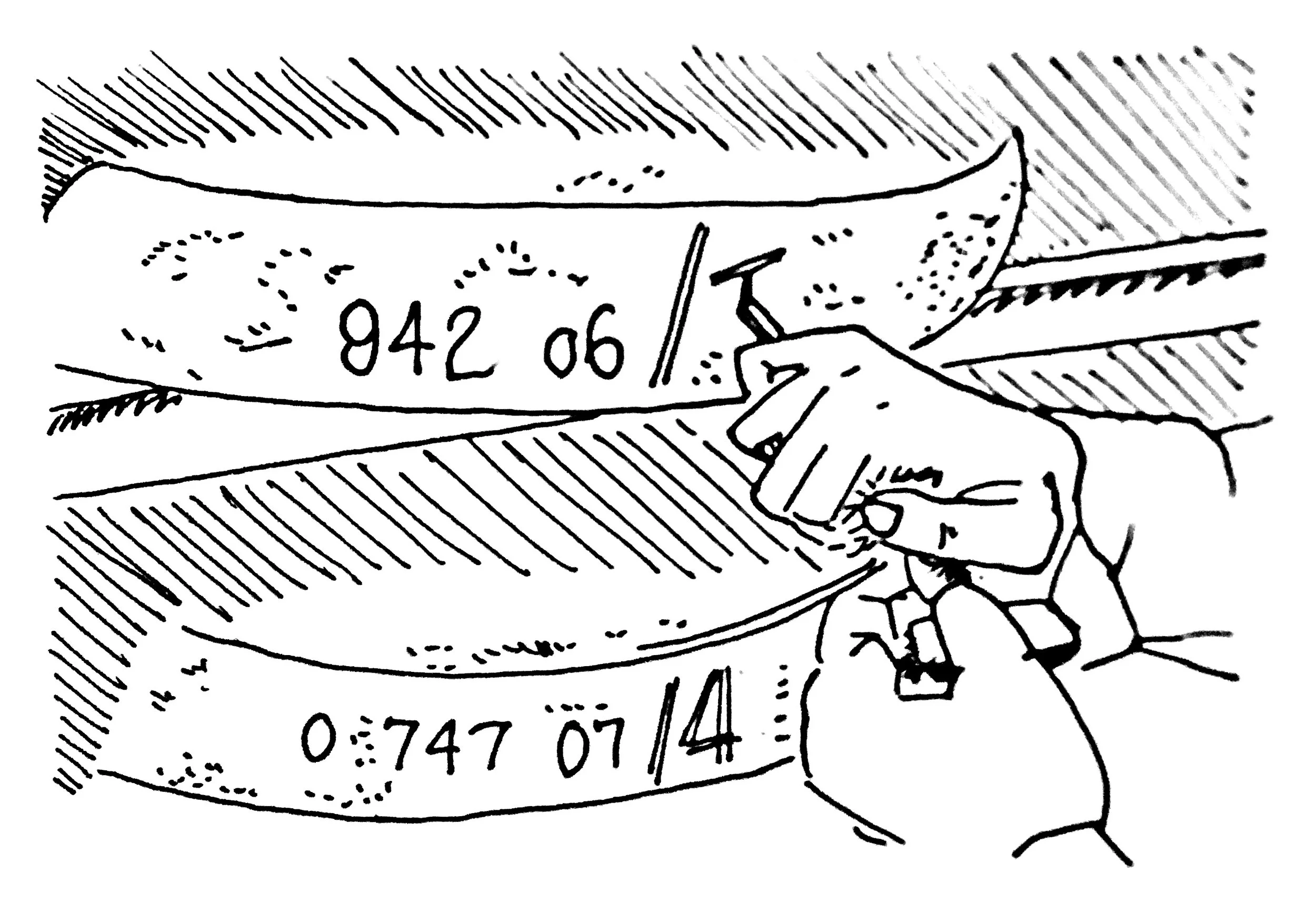 A drawing of a wheel of cheese and someone sticking an iron in it to taste.