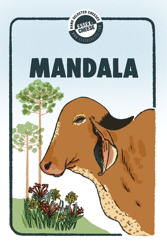 mandala.jpg