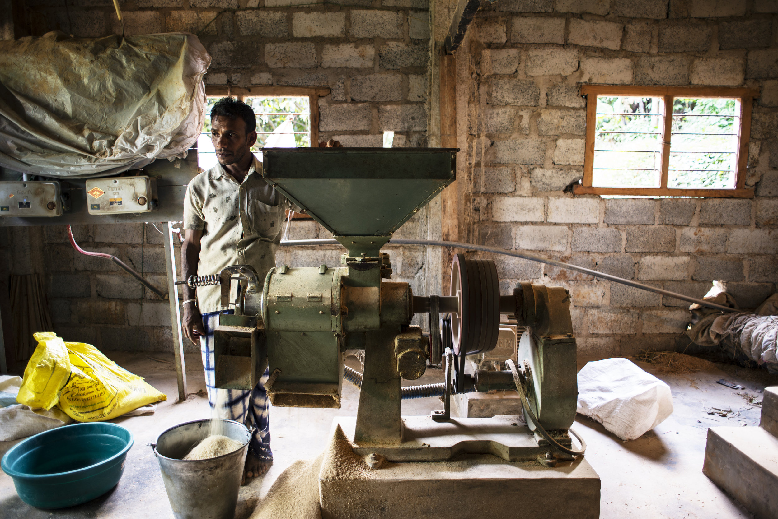  After running the rice through the second processor, the white grains are ready to be taken home and cooked by customers. Gamini makes 3 rupees per kilo sold, which equates to 2 cents in USD. 