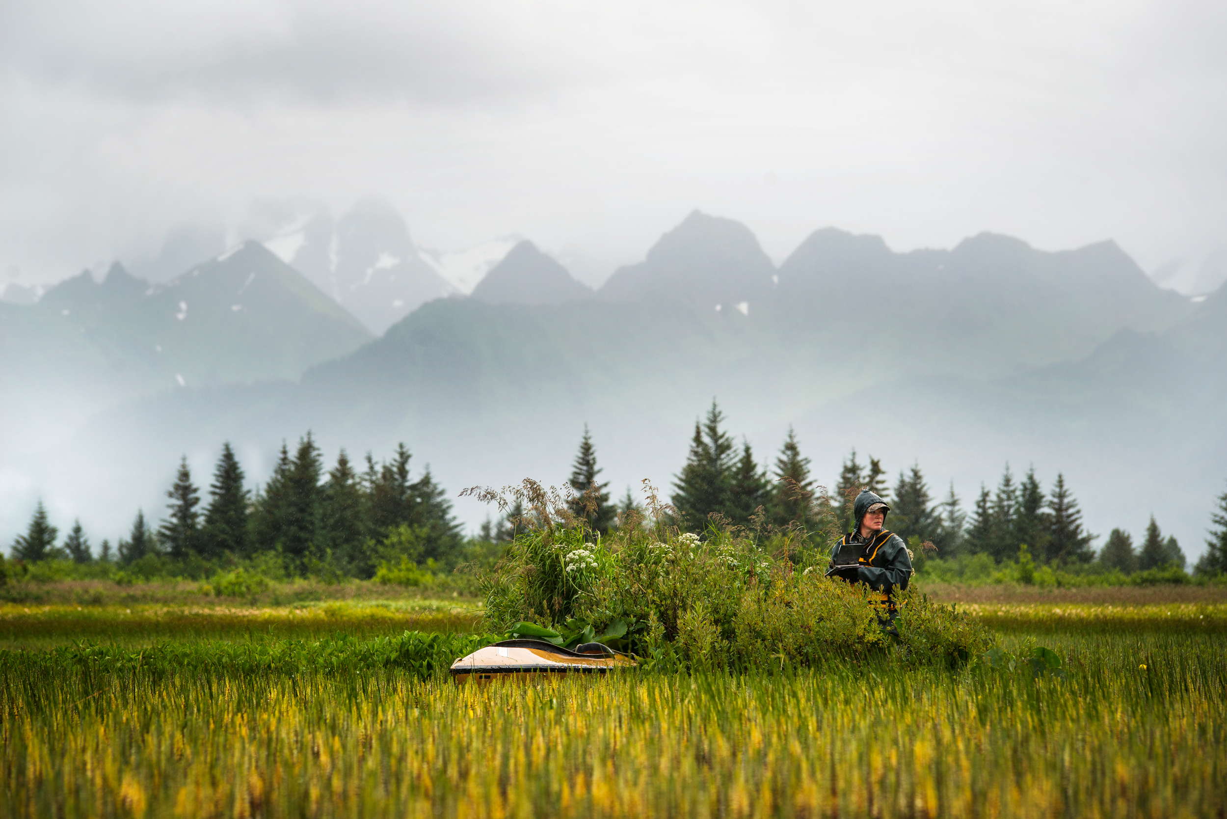  When I pressed Gabrielson about why she chose to study in Alaska, she told me it was all about the fusion of various ecosystems. “This giant wetland, the glaciers behind us, the mountains, the landscape, what it does over the course of a season, ove