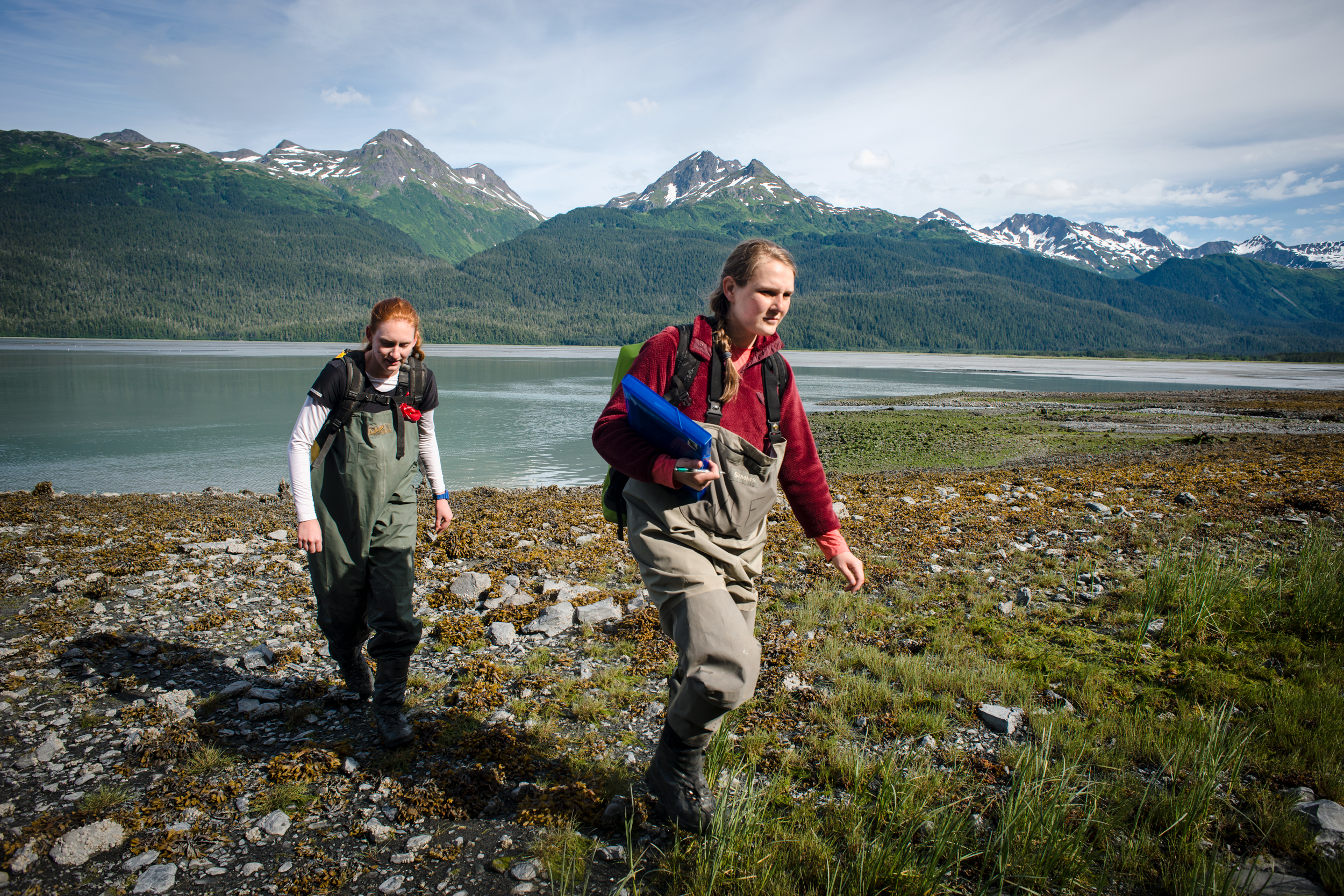  Harjoe and her undergraduate research assistant, Brooke Rigoni, start off their survey measuring the tide. In recent years, the Boreal Toad has become less prominent in the ecosystems around Cordova Alaska, so noting all of the day’s conditions are 