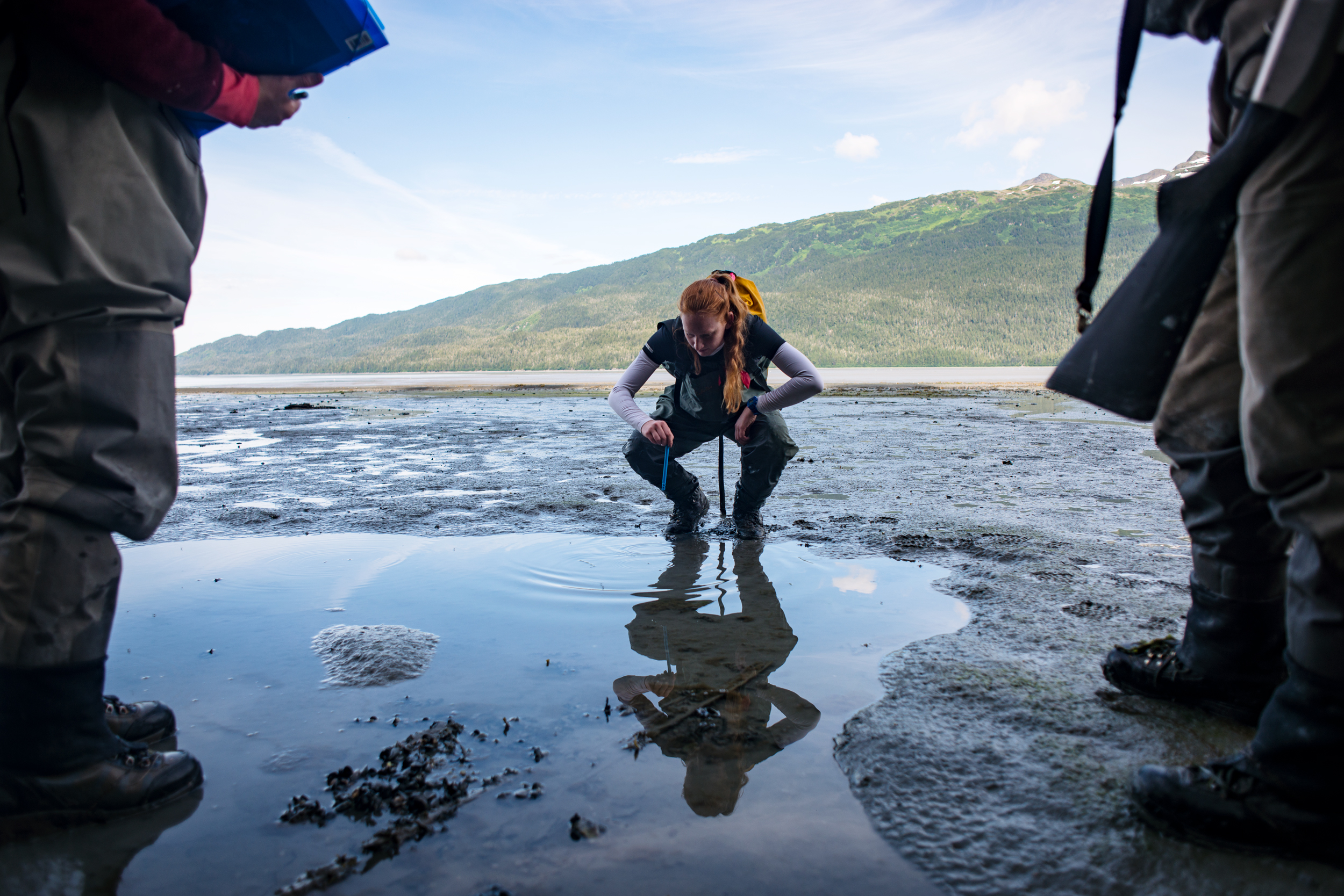  Rigoni squats down to take the temperature of the water to assess if toads could be in the area, gathering clues so the researchers can determine where to look.  