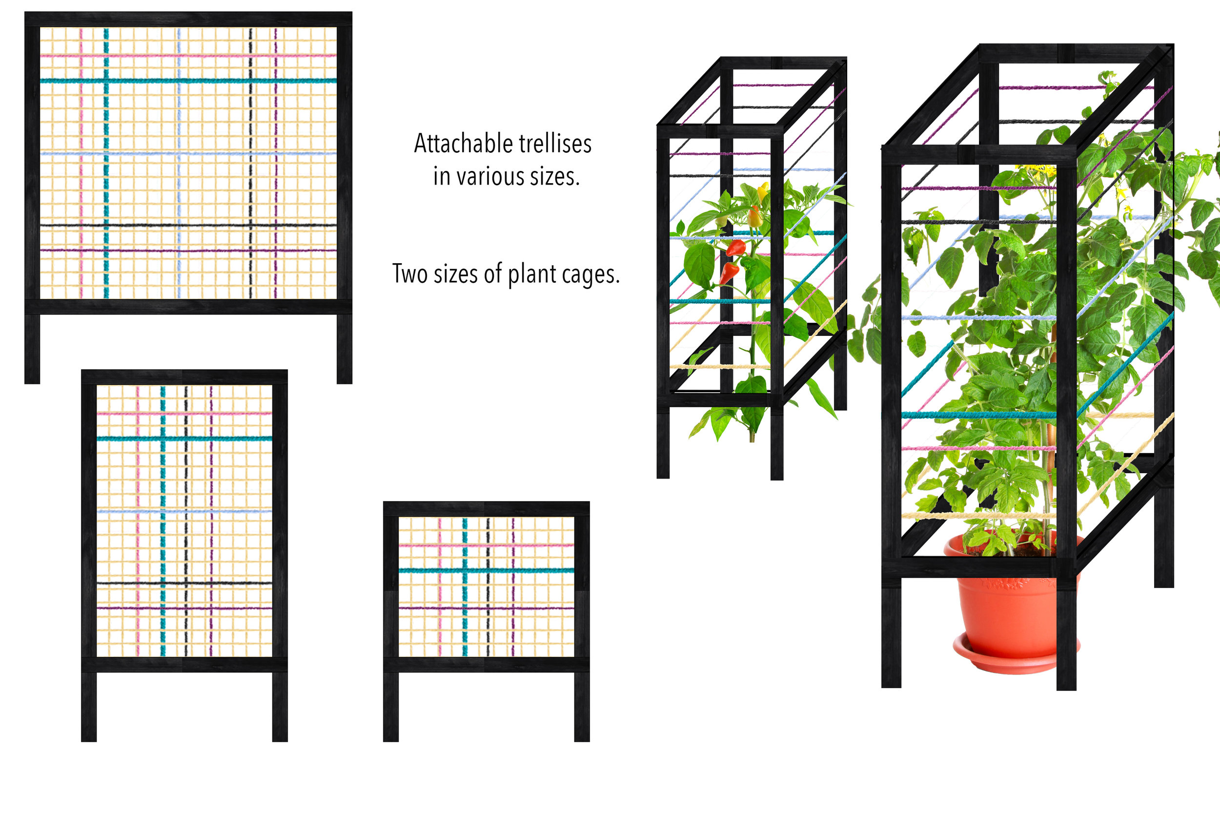 Trellises and Cages.jpg