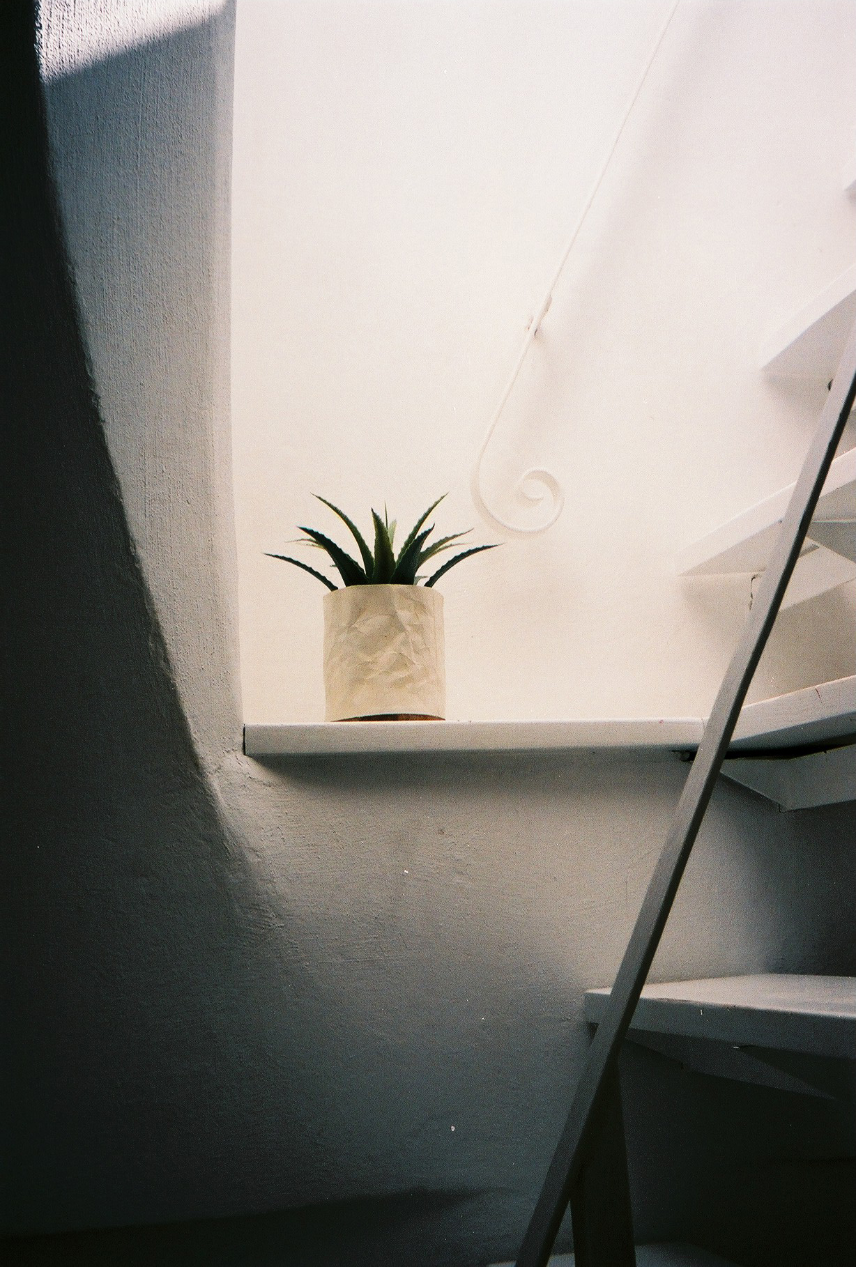 Jesse Ingalls-JRO-Film-3.JPG