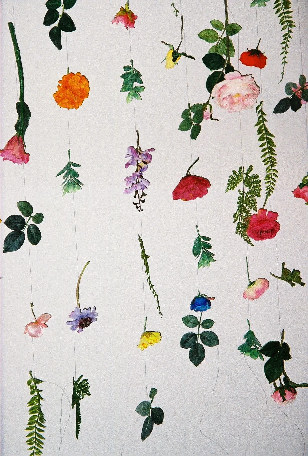 Jesse Ingalls-JRO-Film-8.JPG