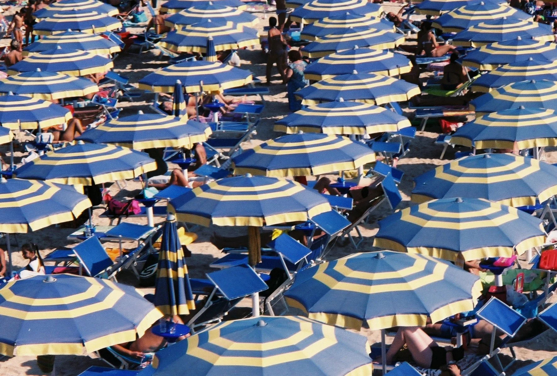 Jesse Ingalls-JRO-Film-1.JPG