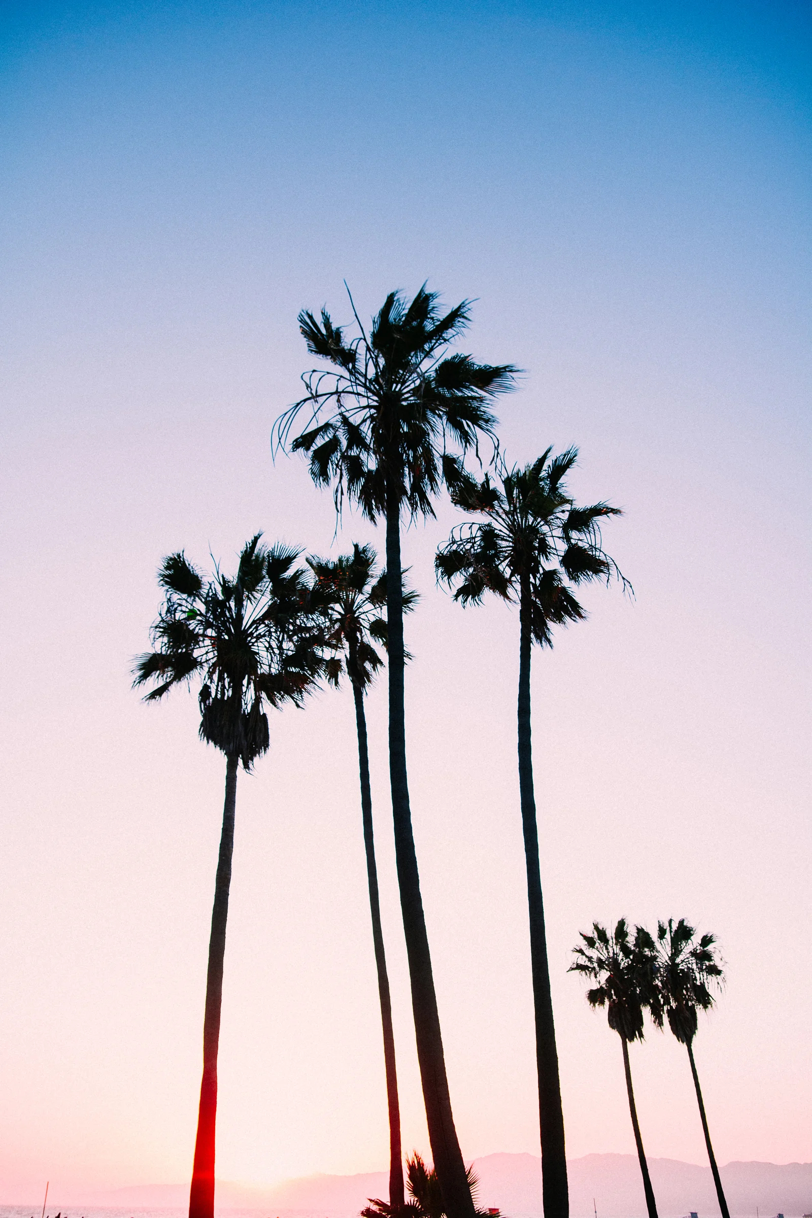 Paradise