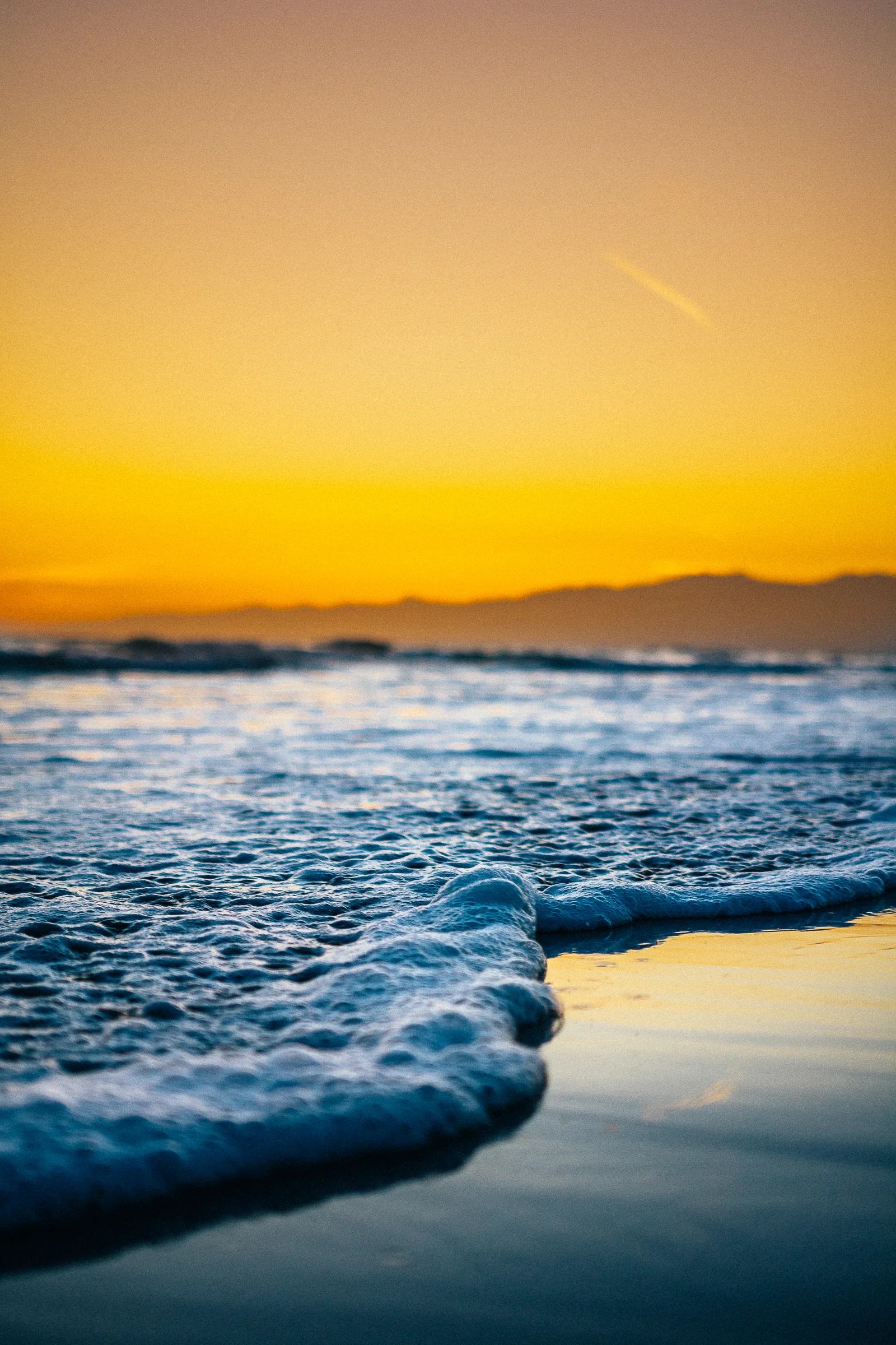 Venice Beach