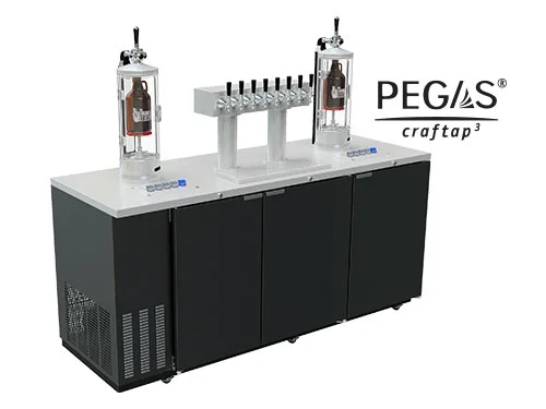 GSE-79-8C-Main-(Bug).jpg