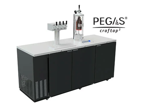 GSE-79-4C-Main-(Bug).jpg