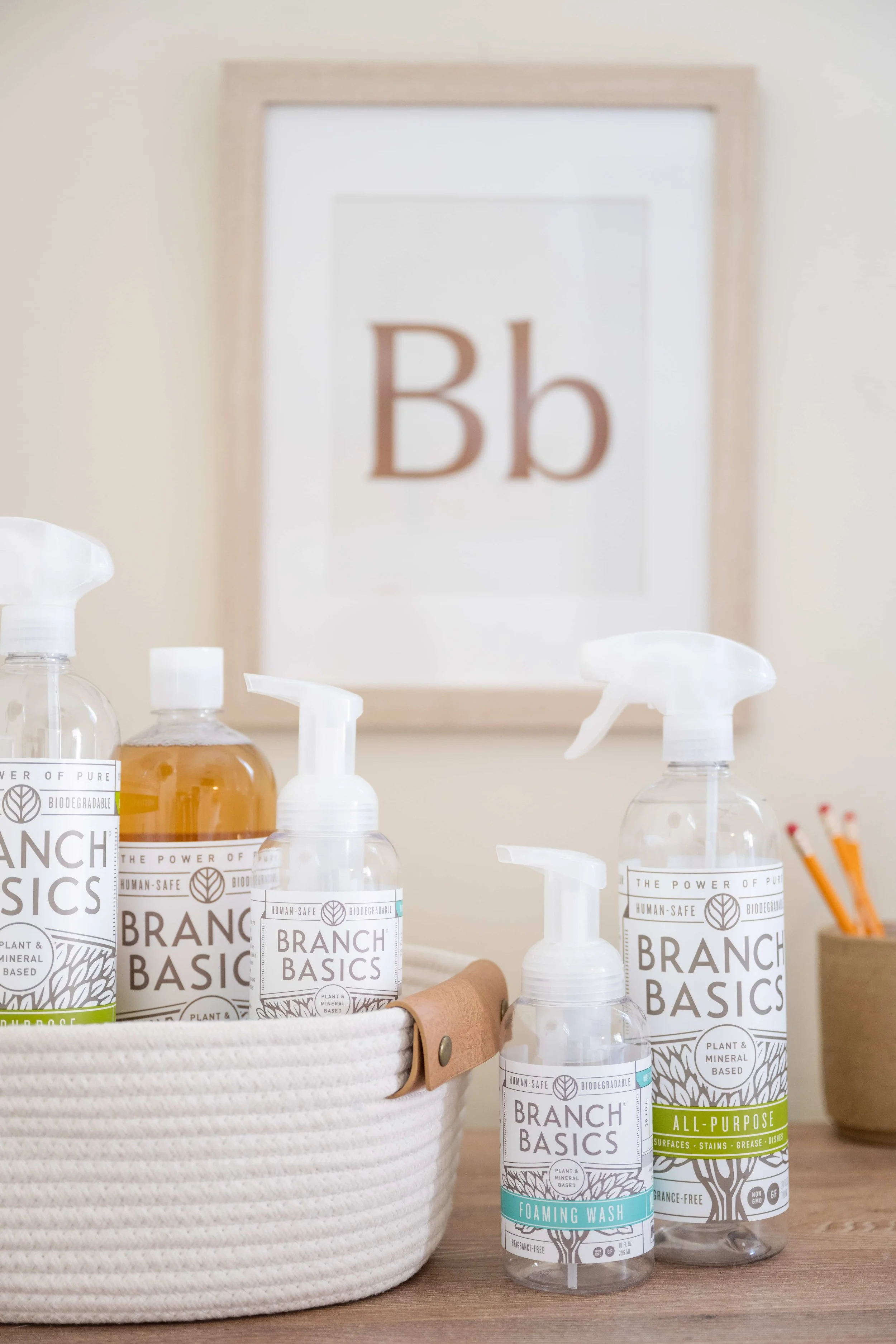 RYCS-BranchBasics-ClassroomKit-1.jpg
