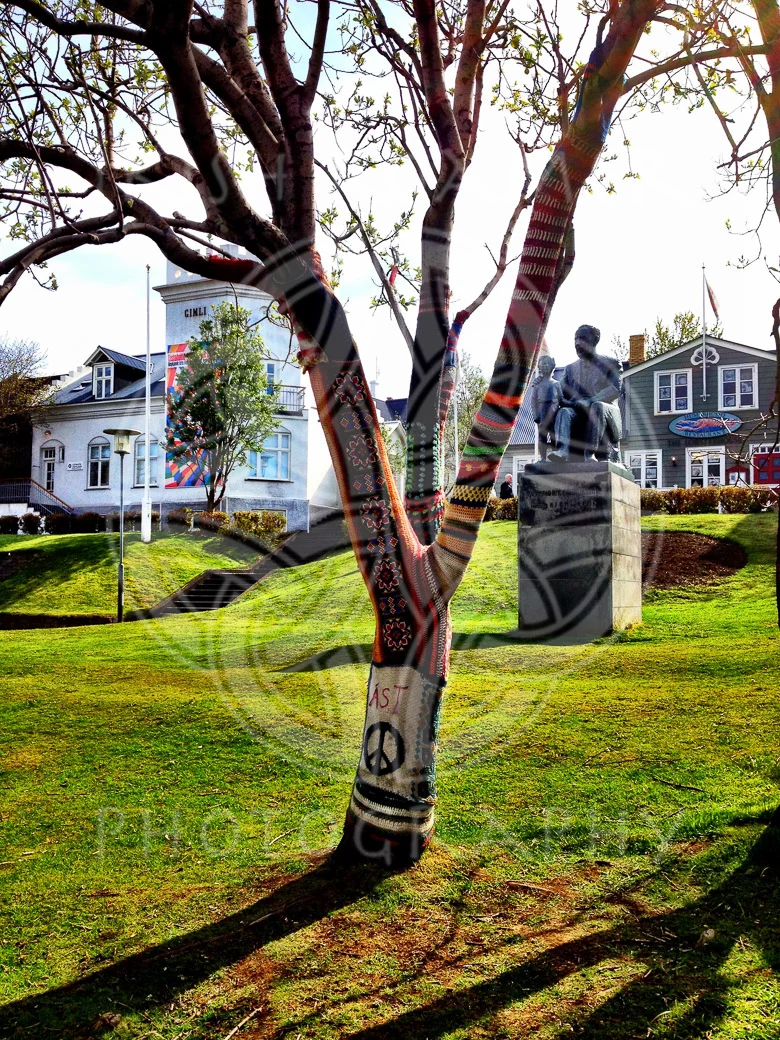 Trees in Reykjavik - 1.JPG