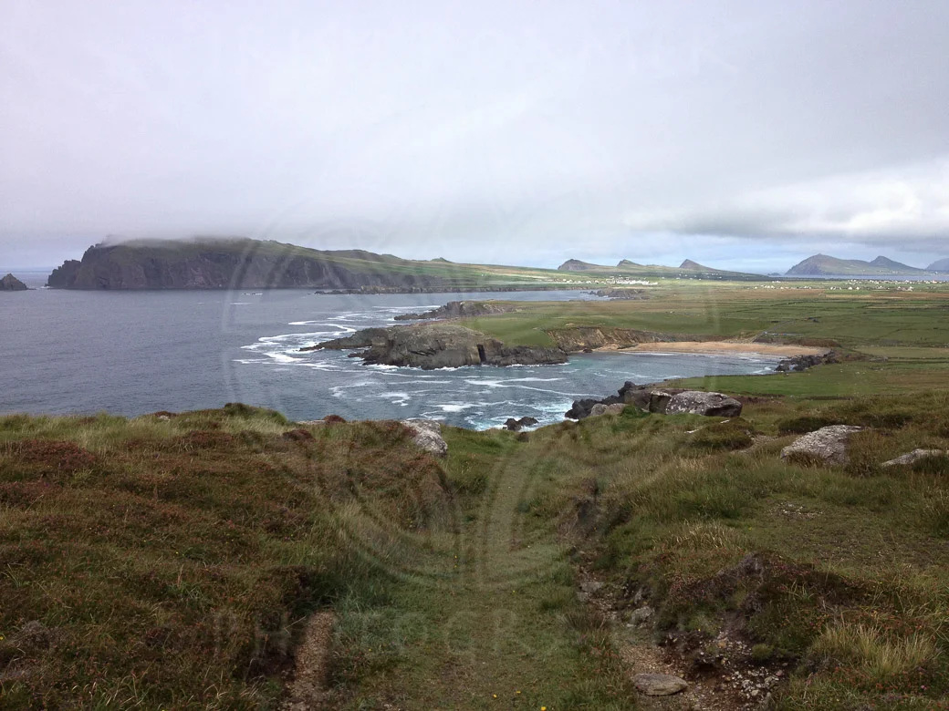 View Across Dingle-2.JPG