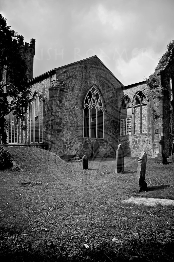 Kilkenny Graveyard - 1-3.JPG