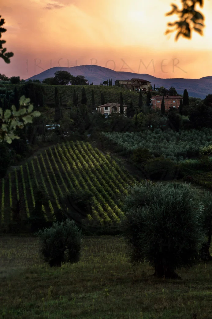 Val D'Orcia - 1-3.JPG