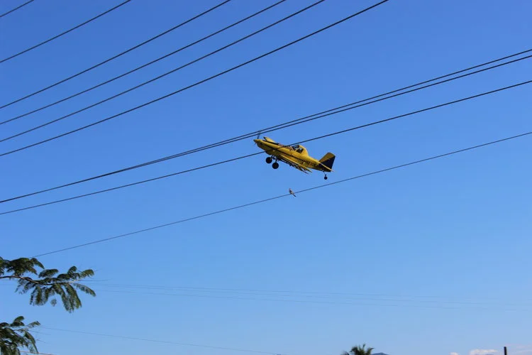 The plane sprayed the fields adjacent to small community of Lajas.