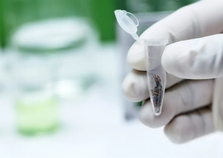 Cannabis Testing