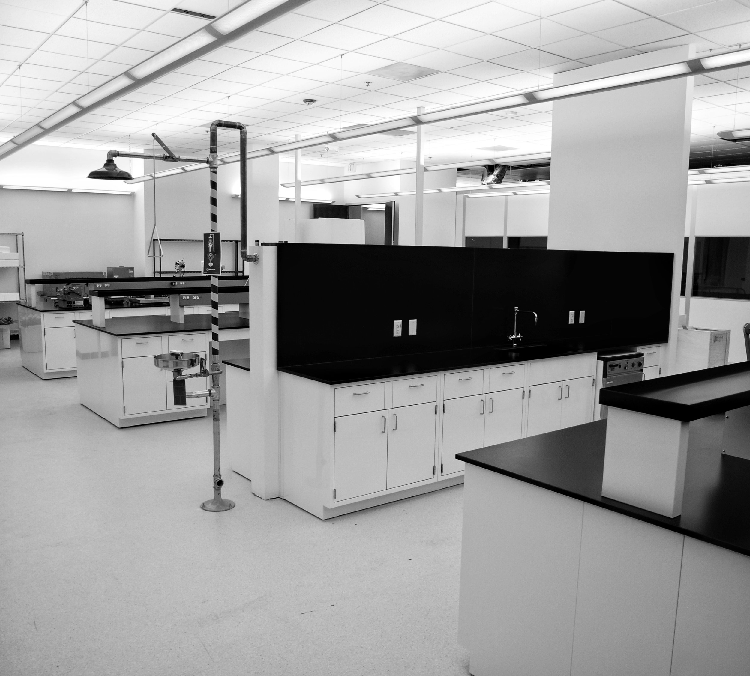 Classic Lab Line-2.jpg