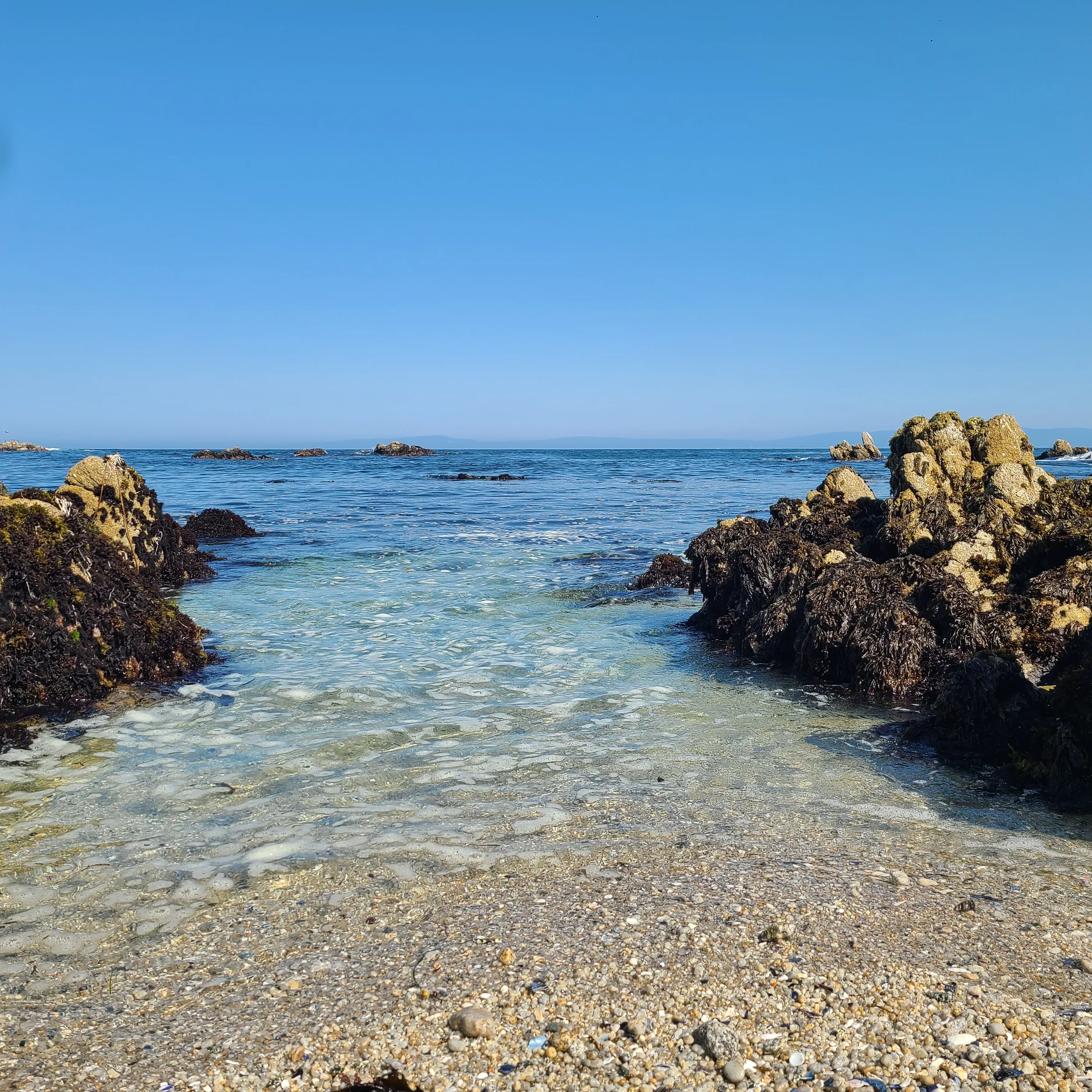 1- Hour Follow-up Phone Session (after your healing)