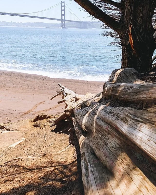 Sometimes it&rsquo;s about looking at the world in different ways. That&rsquo;s the best part about perspectives, we all have a different outlook and that&rsquo;s what makes us unique. Hope everyone is staying safe out there!
.
.
.
.
.
.

#goldengate